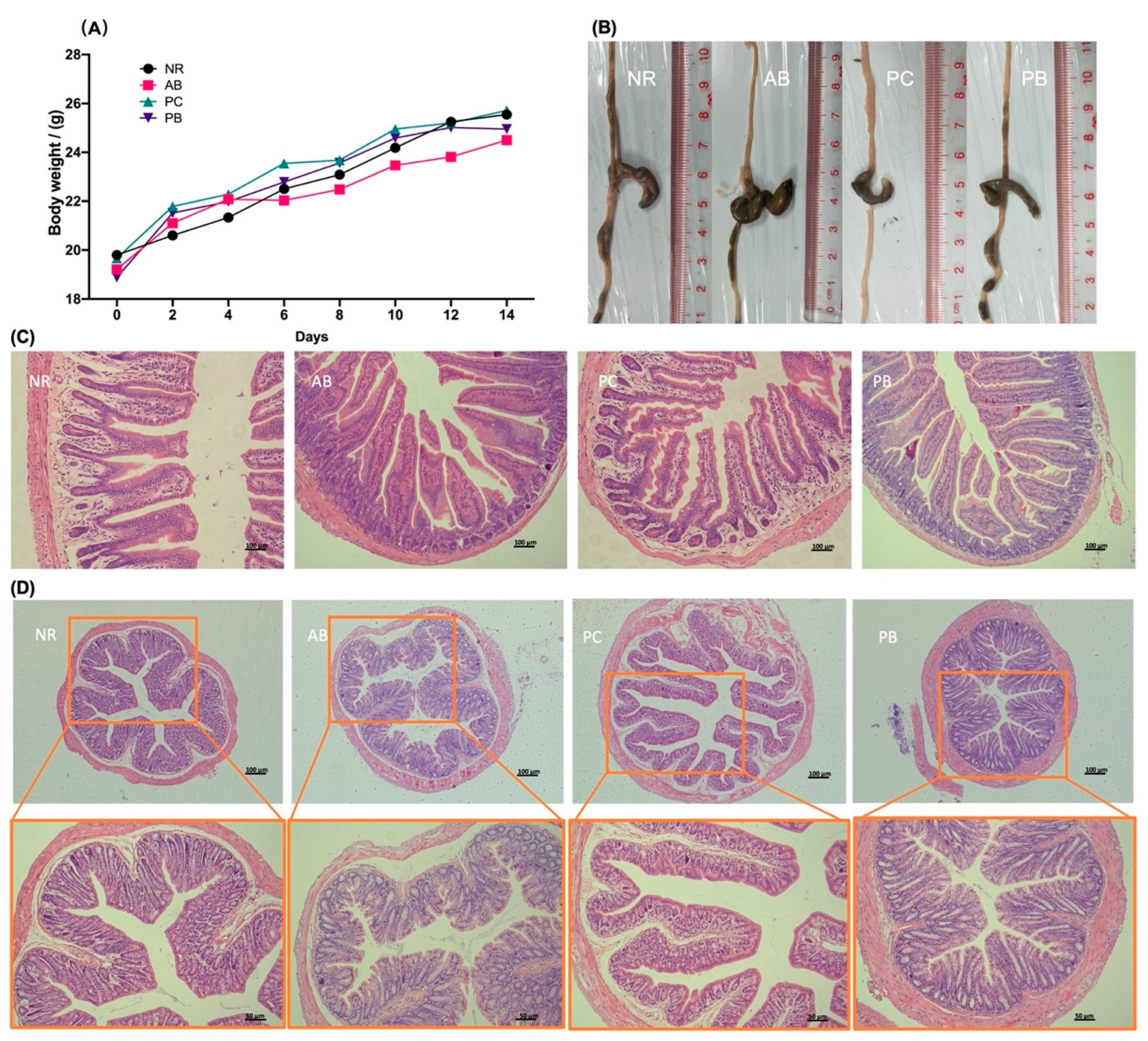 Ijms 24 01423 g001 Ijms 24 01423 g001