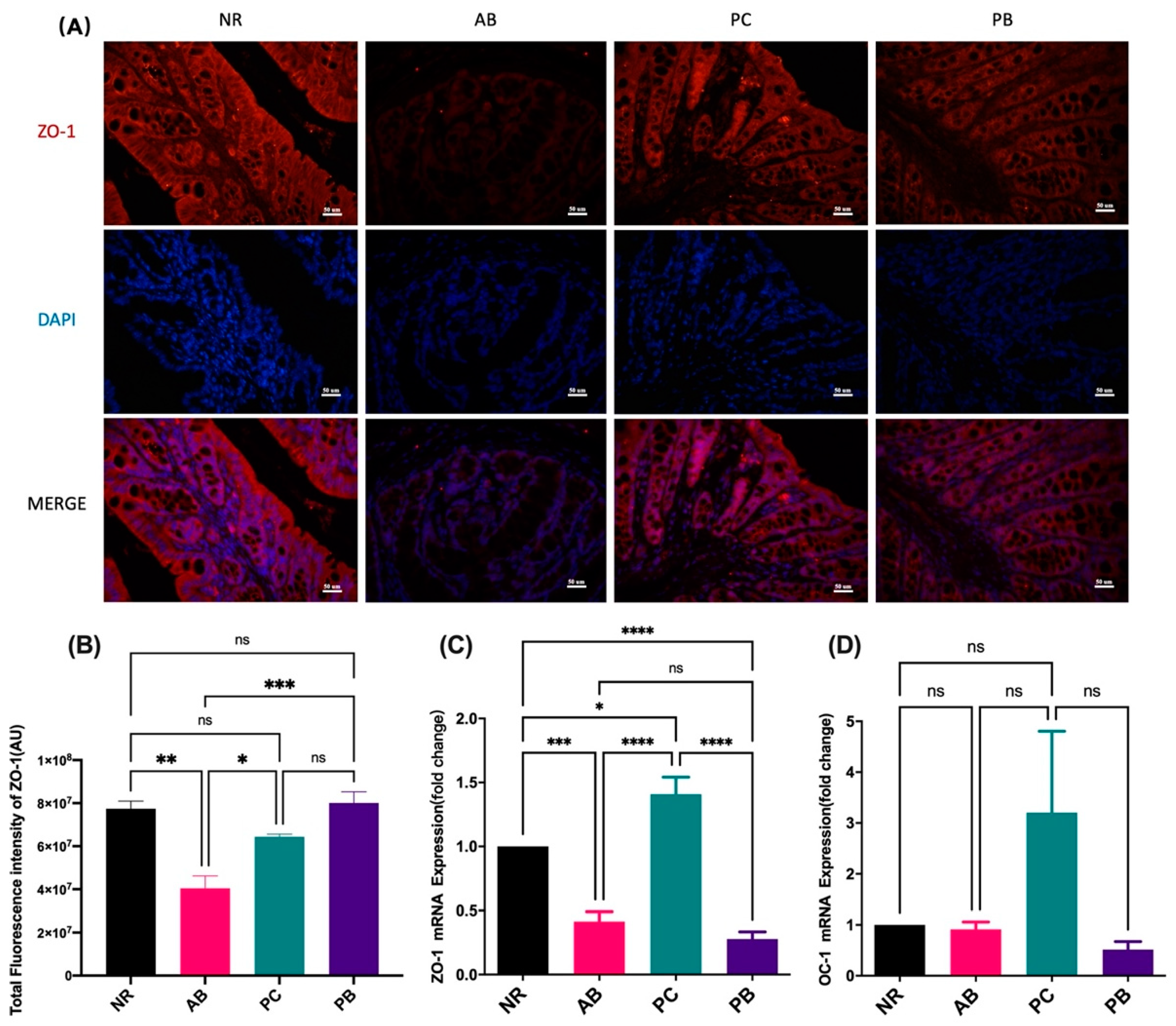 Ijms 24 01423 g002 Ijms 24 01423 g002