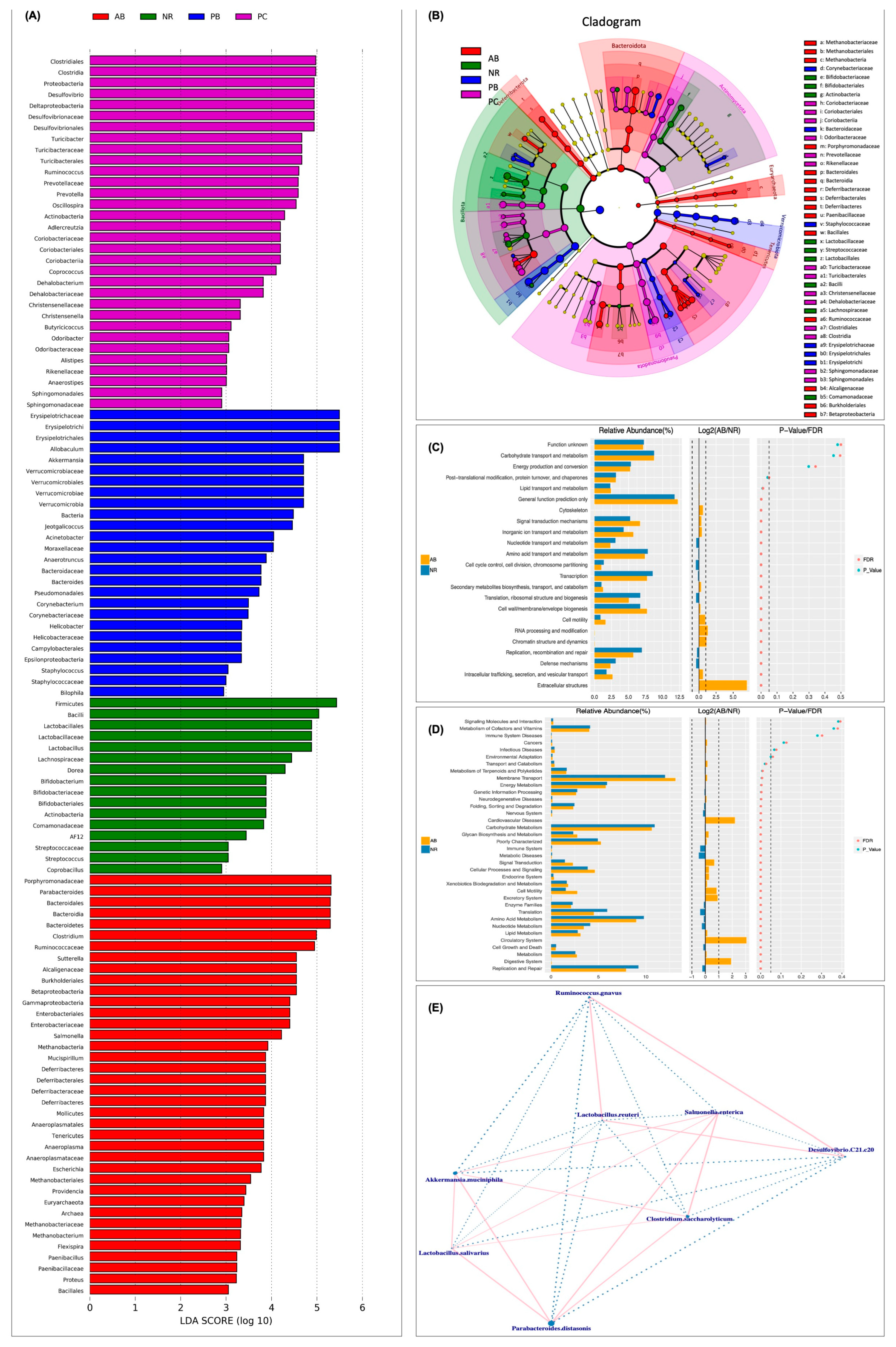Ijms 24 01423 g007 Ijms 24 01423 g007