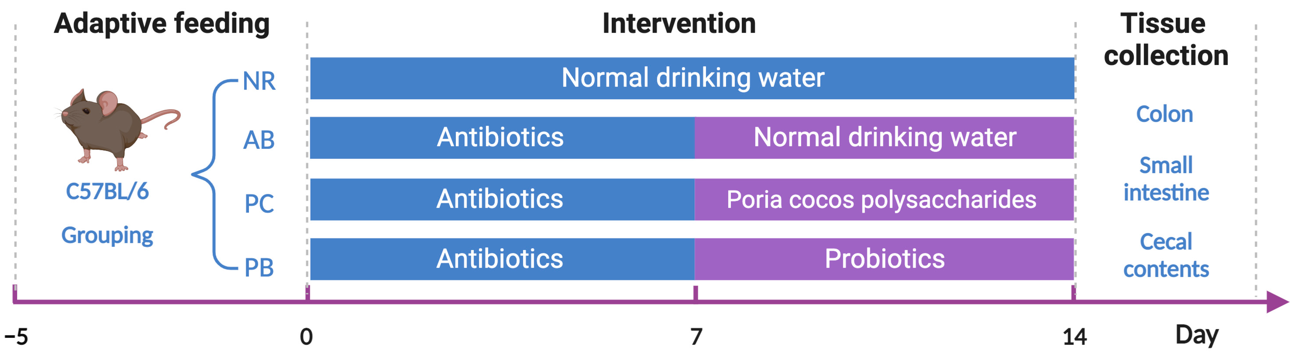 Ijms 24 01423 g009 Ijms 24 01423 g009
