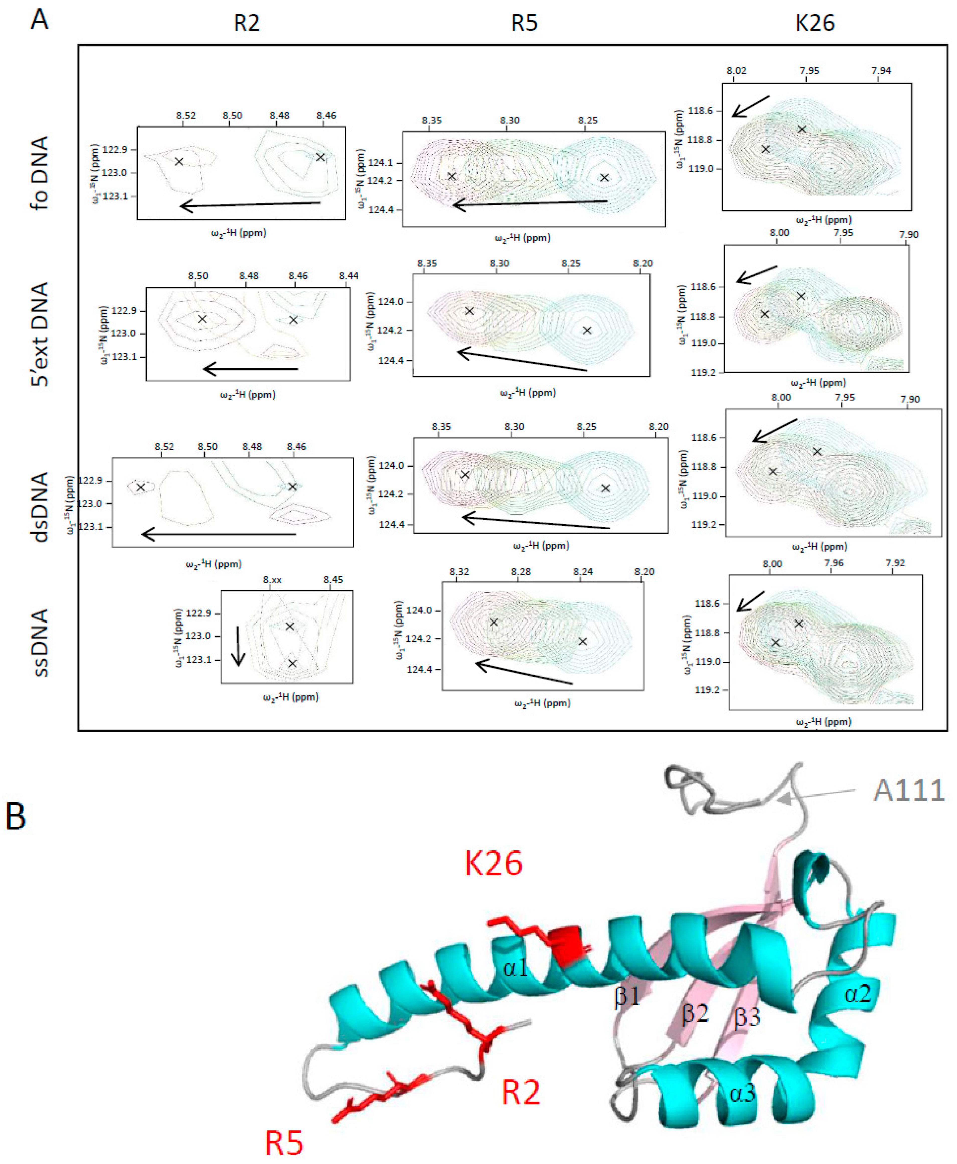 Ijms 24 01427 g004 Ijms 24 01427 g004