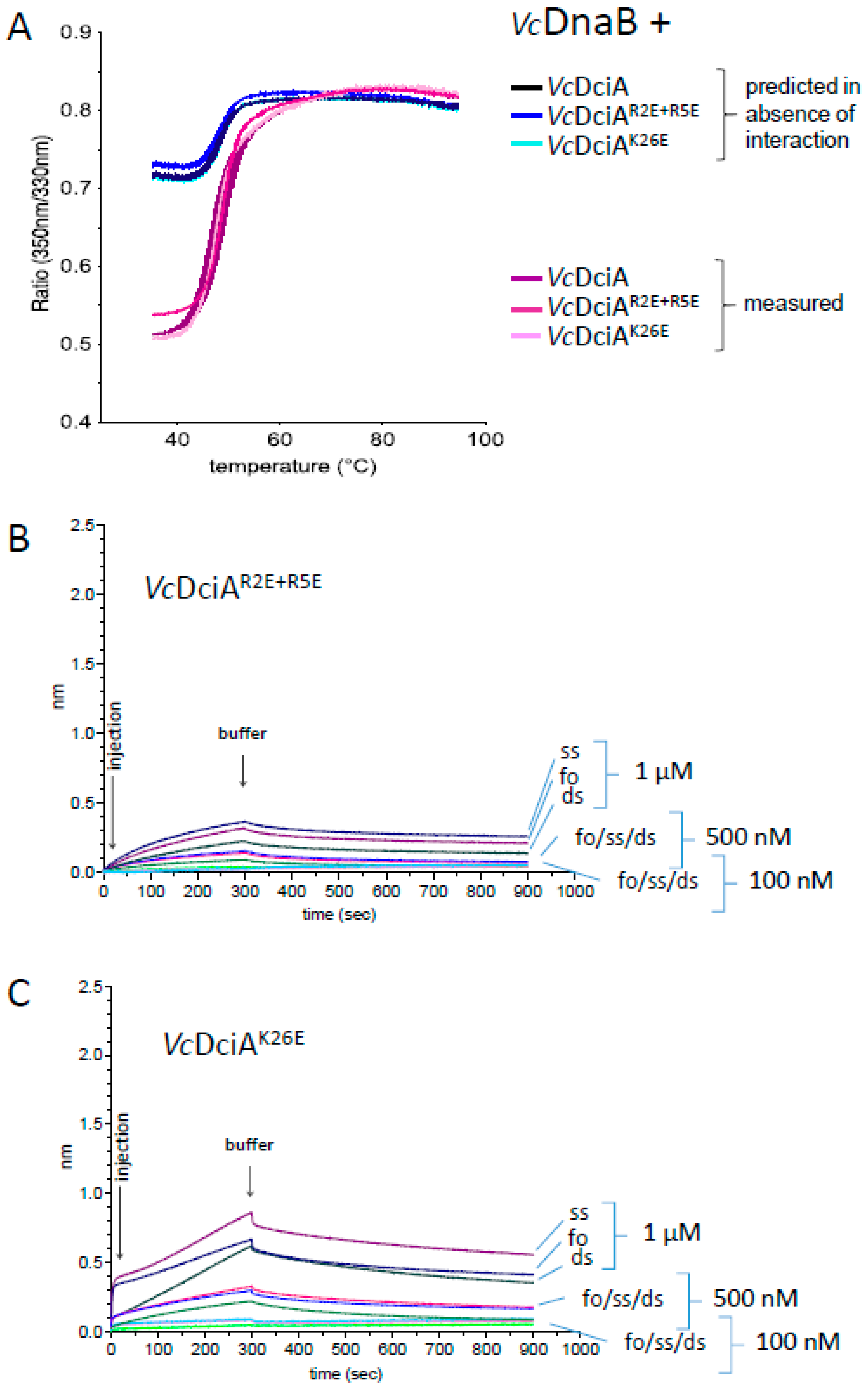Ijms 24 01427 g005 Ijms 24 01427 g005