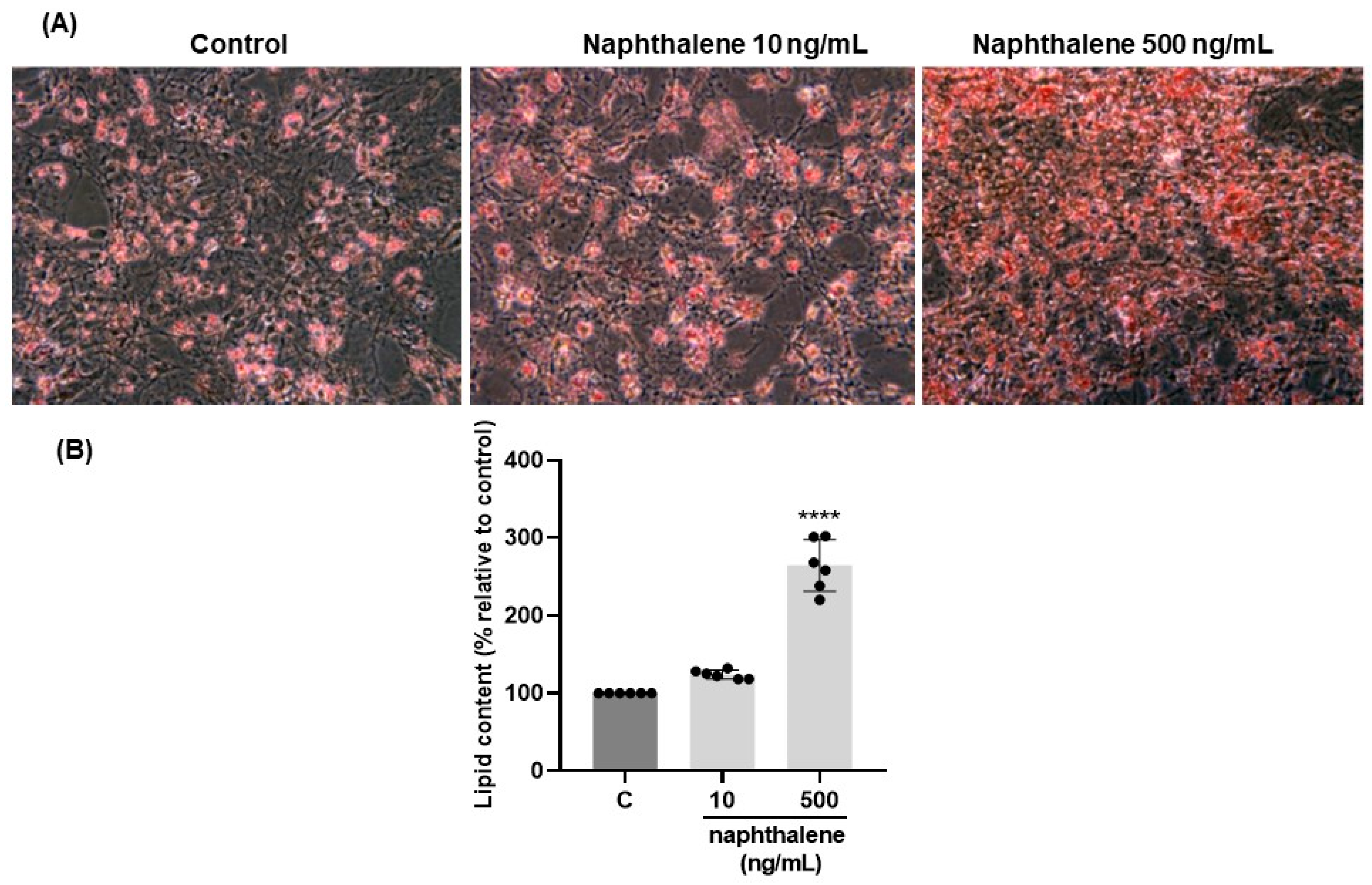 Ijms 24 01455 g003 Ijms 24 01455 g003