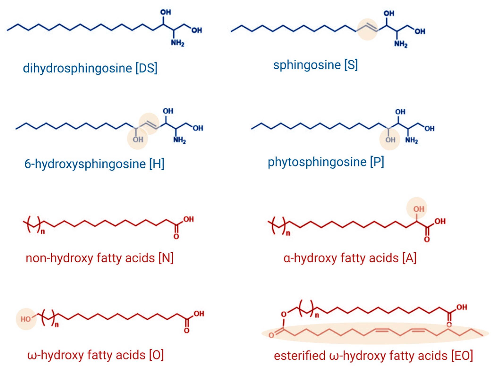 Ijms 24 01456 g001 Ijms 24 01456 g001