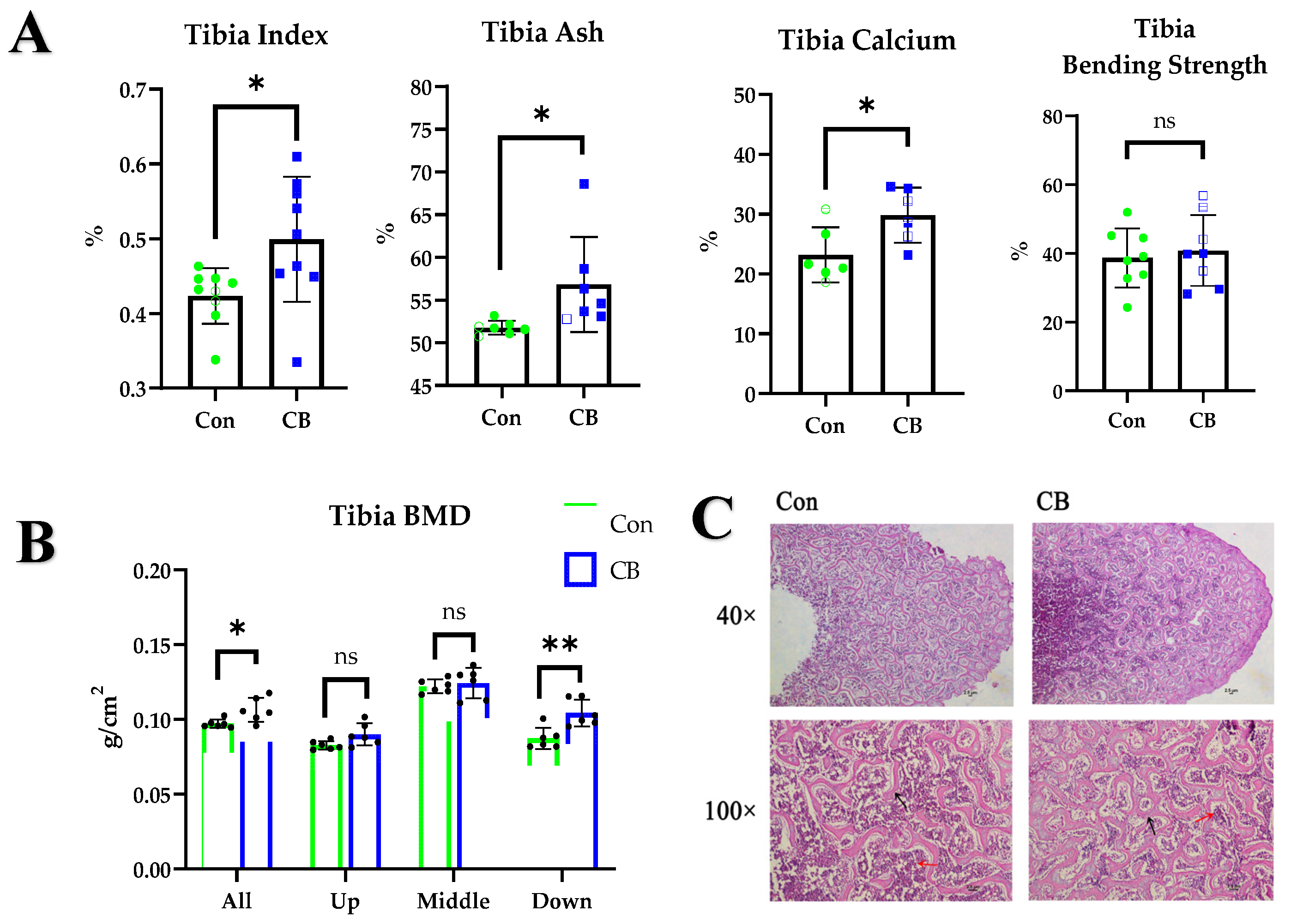 Ijms 24 01457 g001 Ijms 24 01457 g001