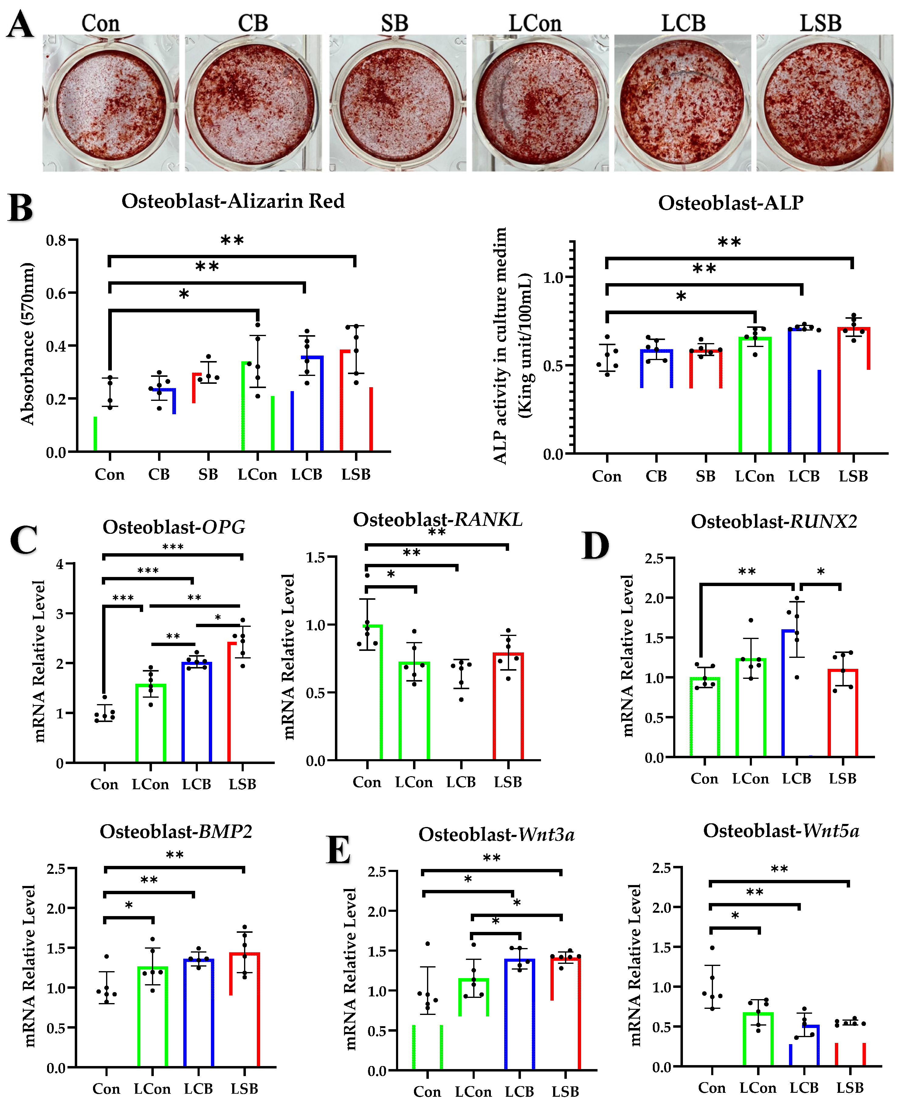 Ijms 24 01457 g004 Ijms 24 01457 g004