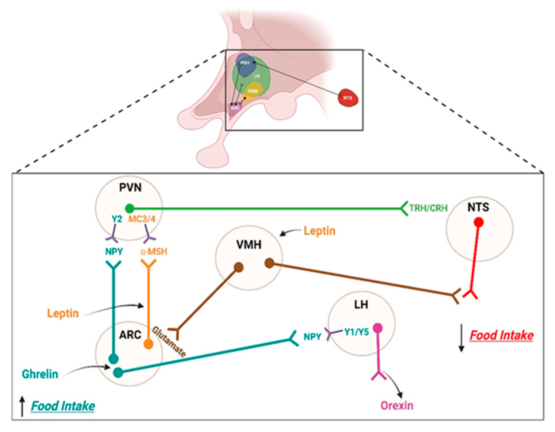 Ijms 24 01468 g001 Ijms 24 01468 g001