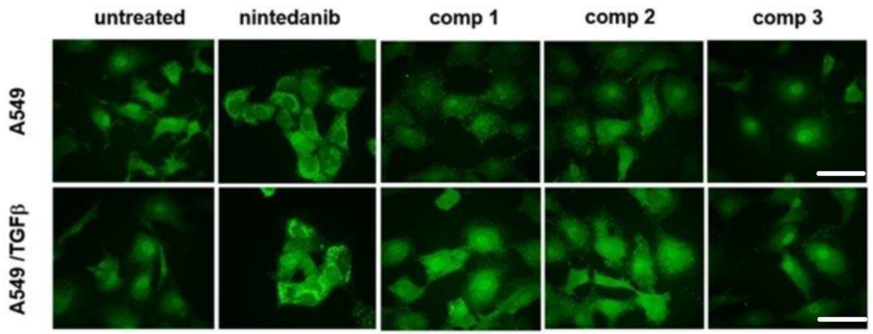 Ijms 24 01475 g005 Ijms 24 01475 g005