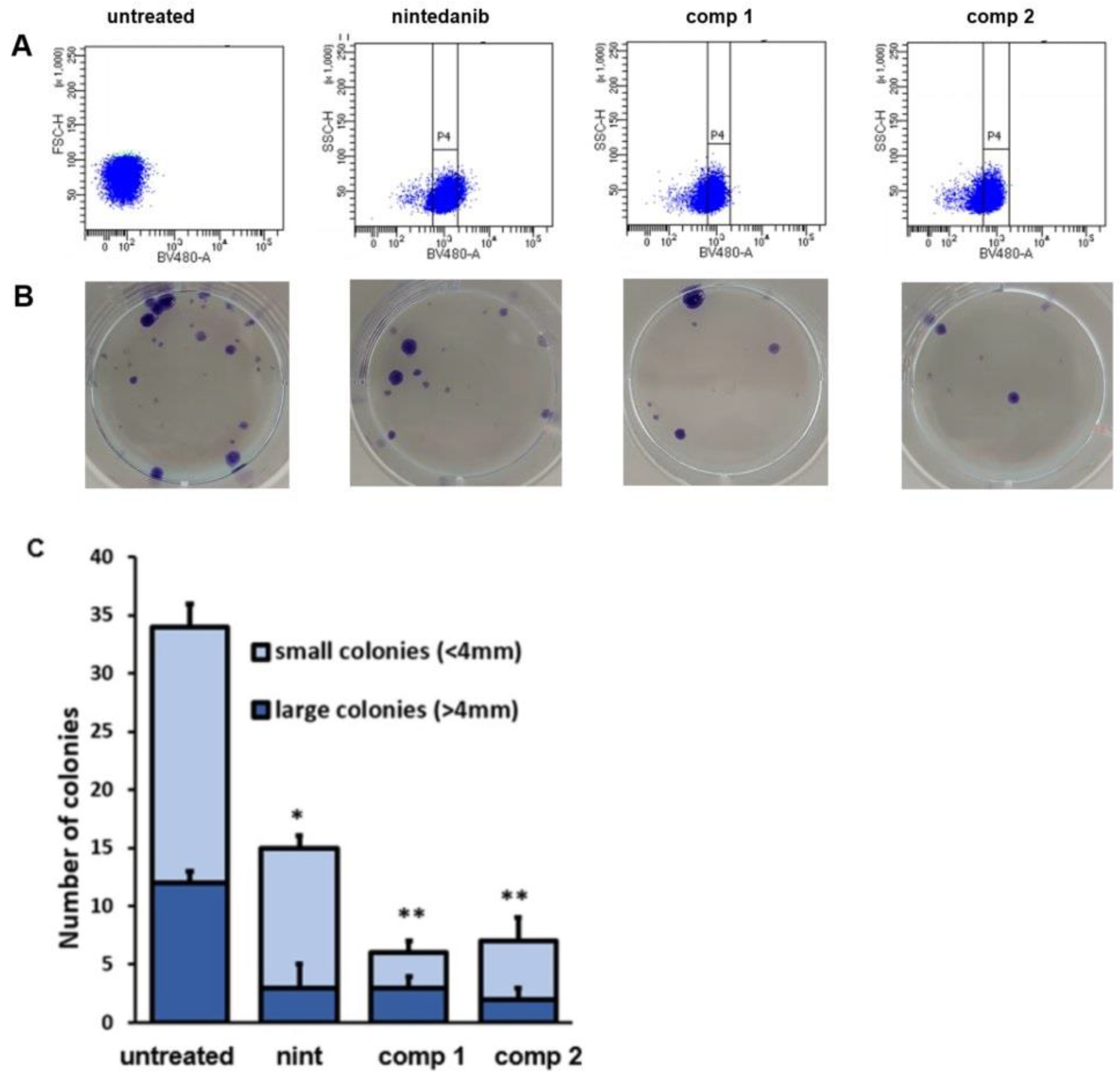 Ijms 24 01475 g010 Ijms 24 01475 g010