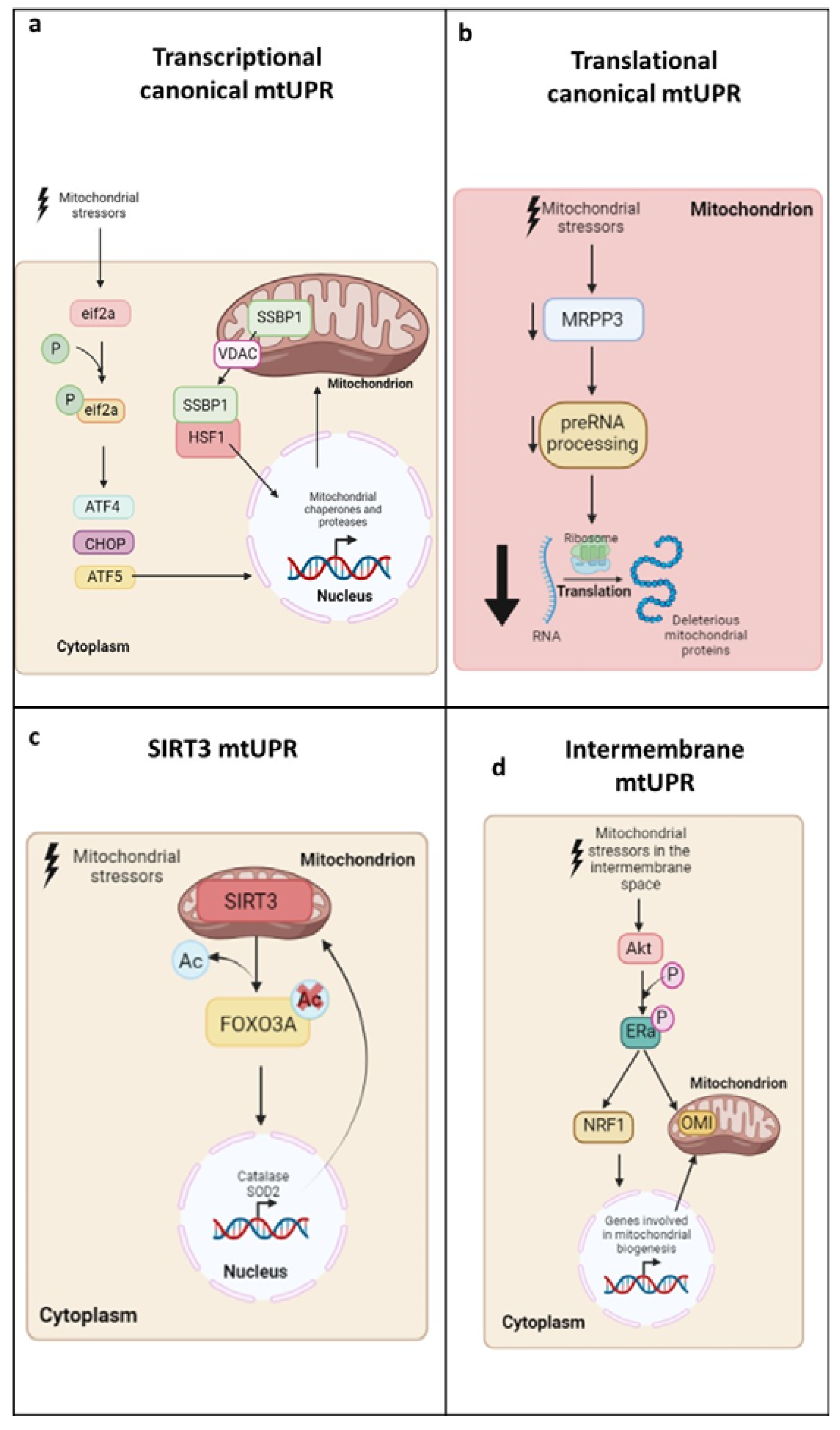 Ijms 24 01482 g003 Ijms 24 01482 g003