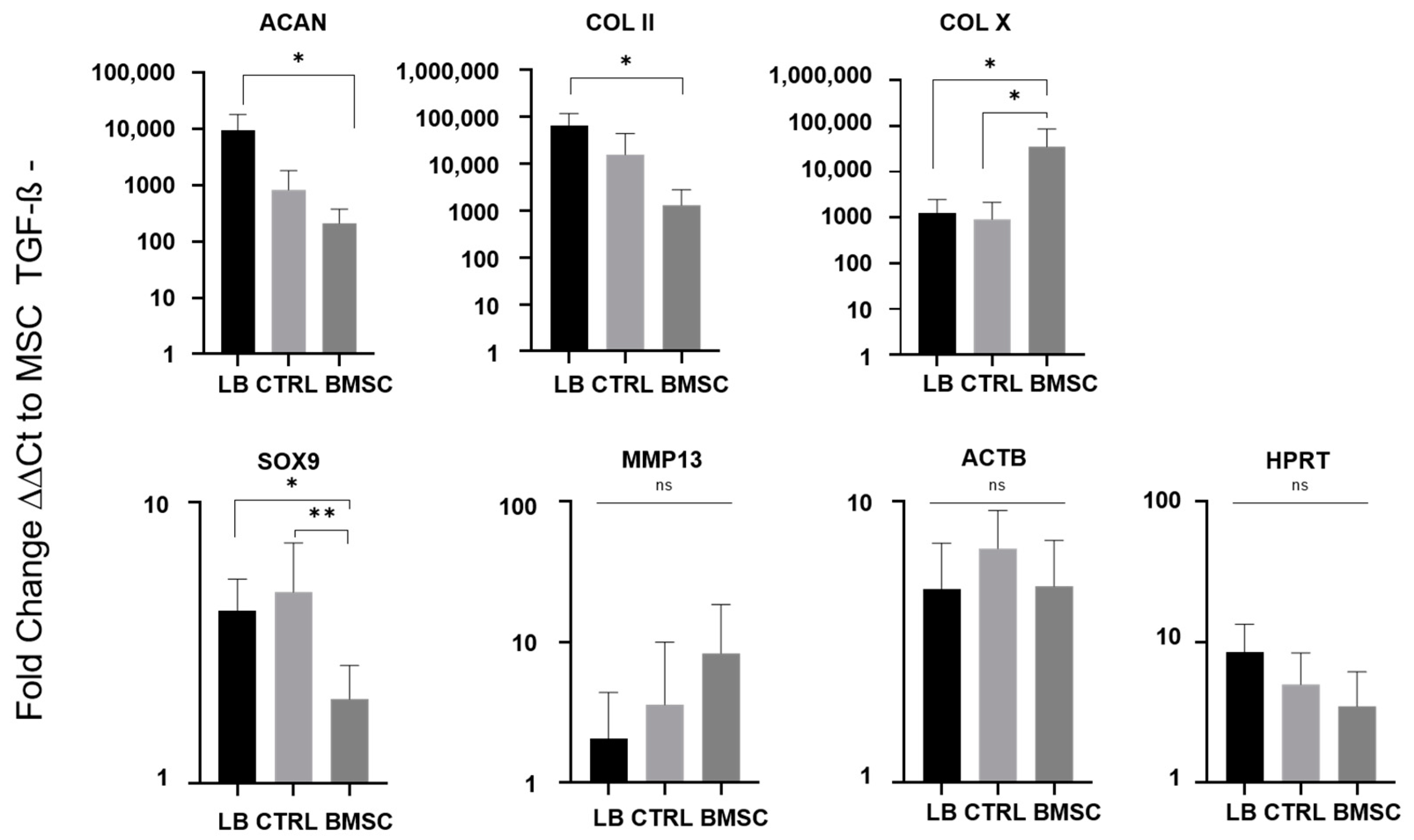Ijms 24 01484 g005 Ijms 24 01484 g005