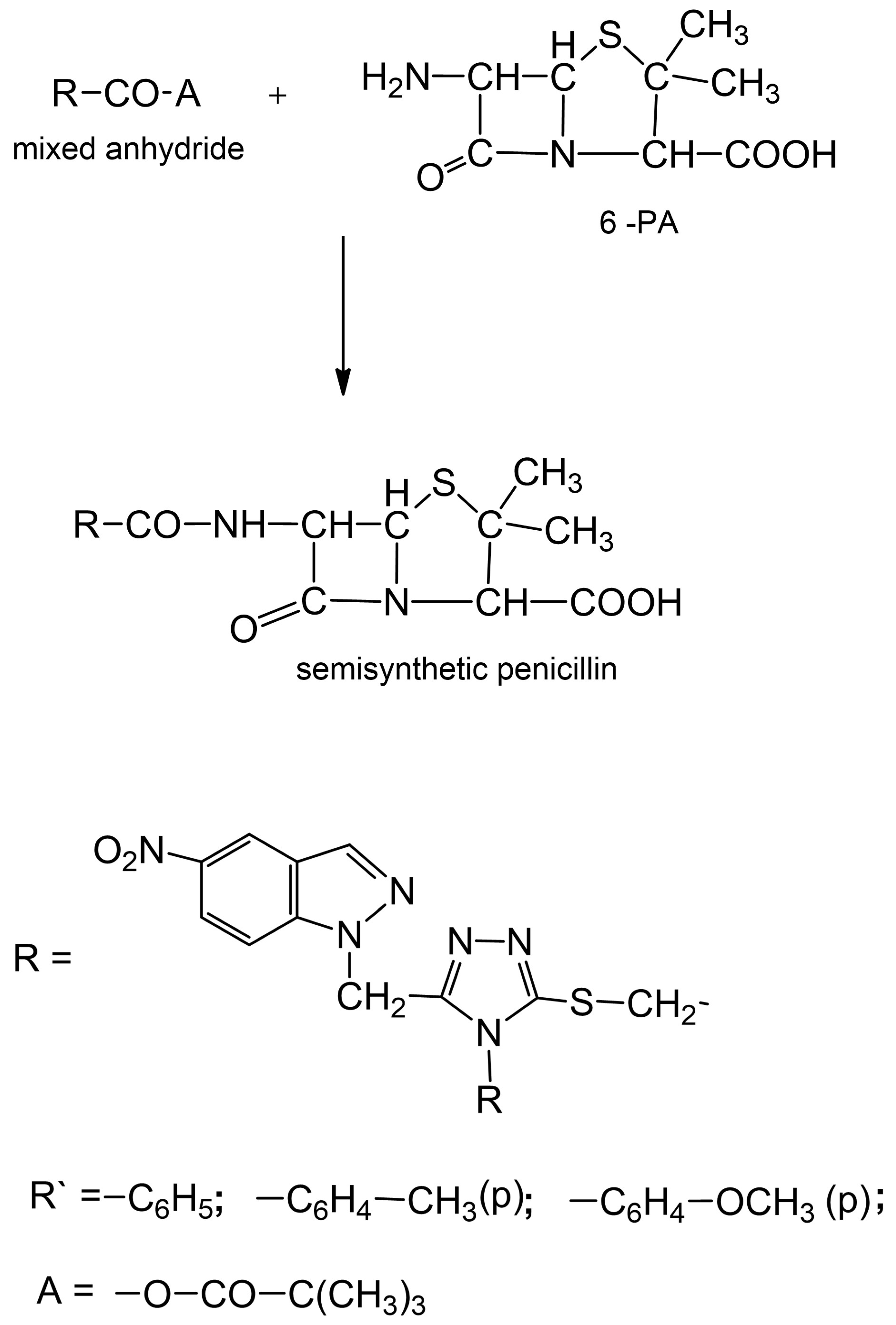 IJMS | Free Full-Text | New Semisynthetic Penicillins Obtained by Coupling  of the 6-Aminopenicillanic Acid with  5-Mercapto-1,2,4-triazoles-3,4-disubstituted