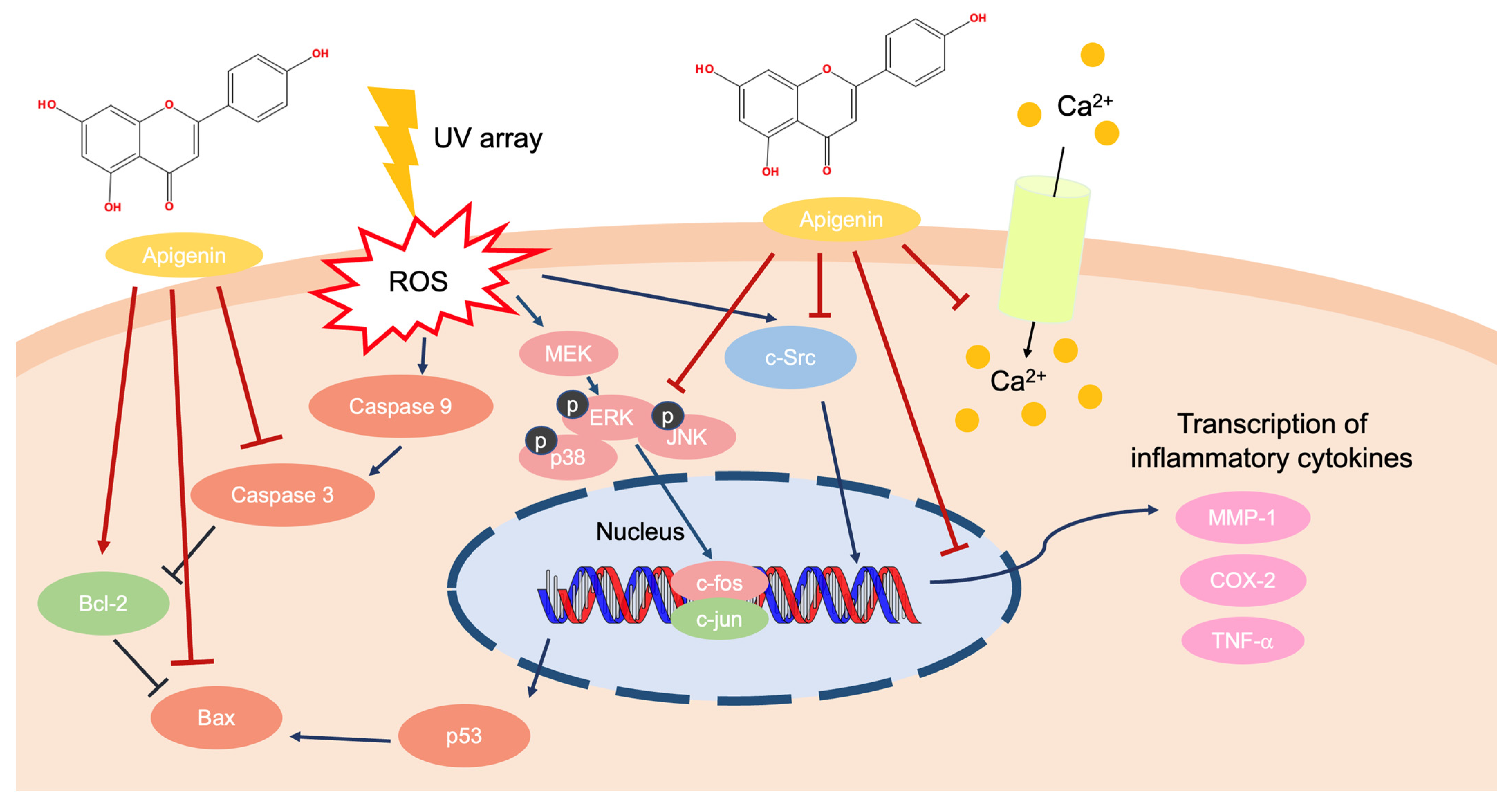 Ijms 24 01498 g003 Ijms 24 01498 g003