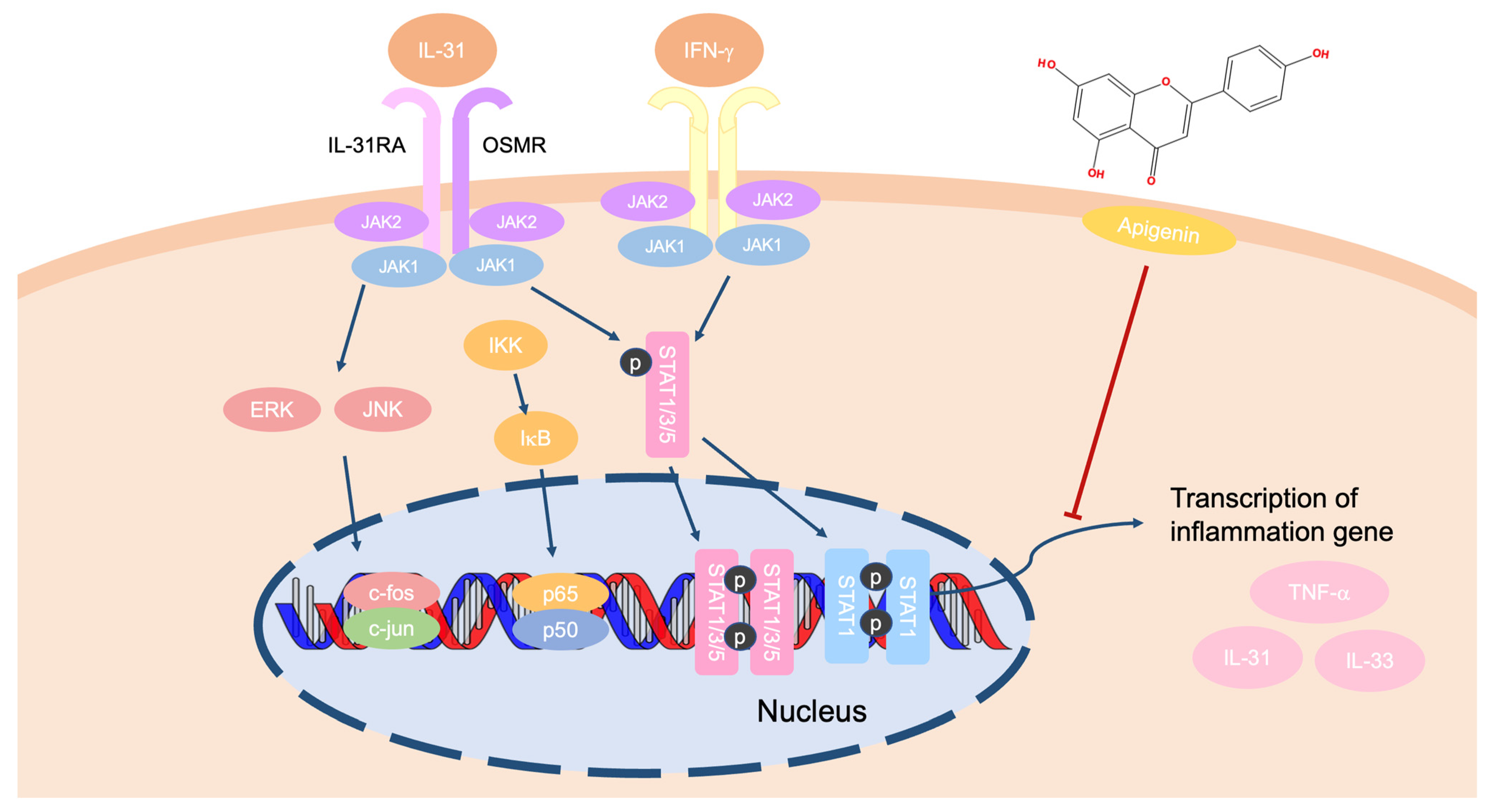 Ijms 24 01498 g005 Ijms 24 01498 g005