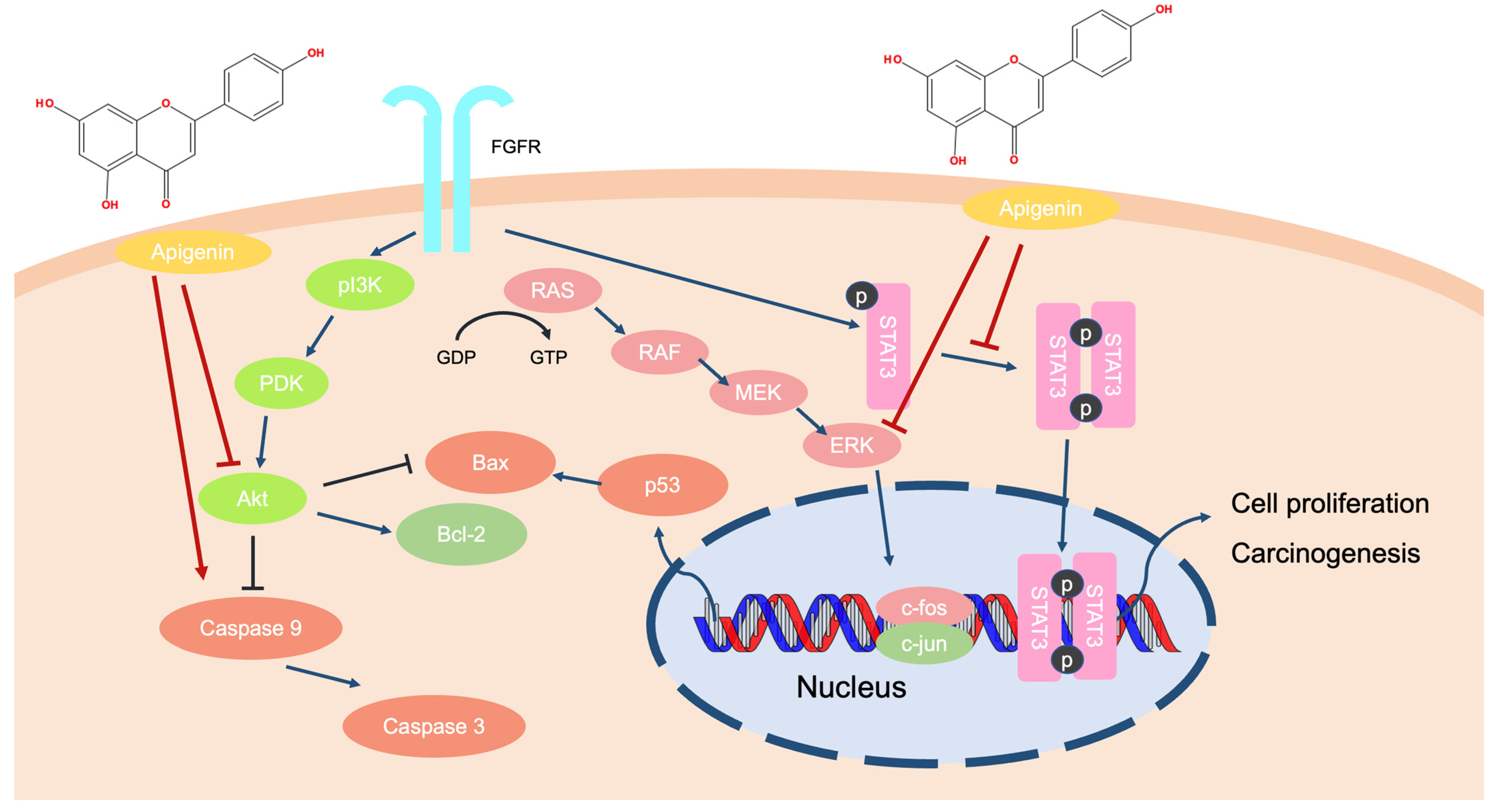 Ijms 24 01498 g008 Ijms 24 01498 g008