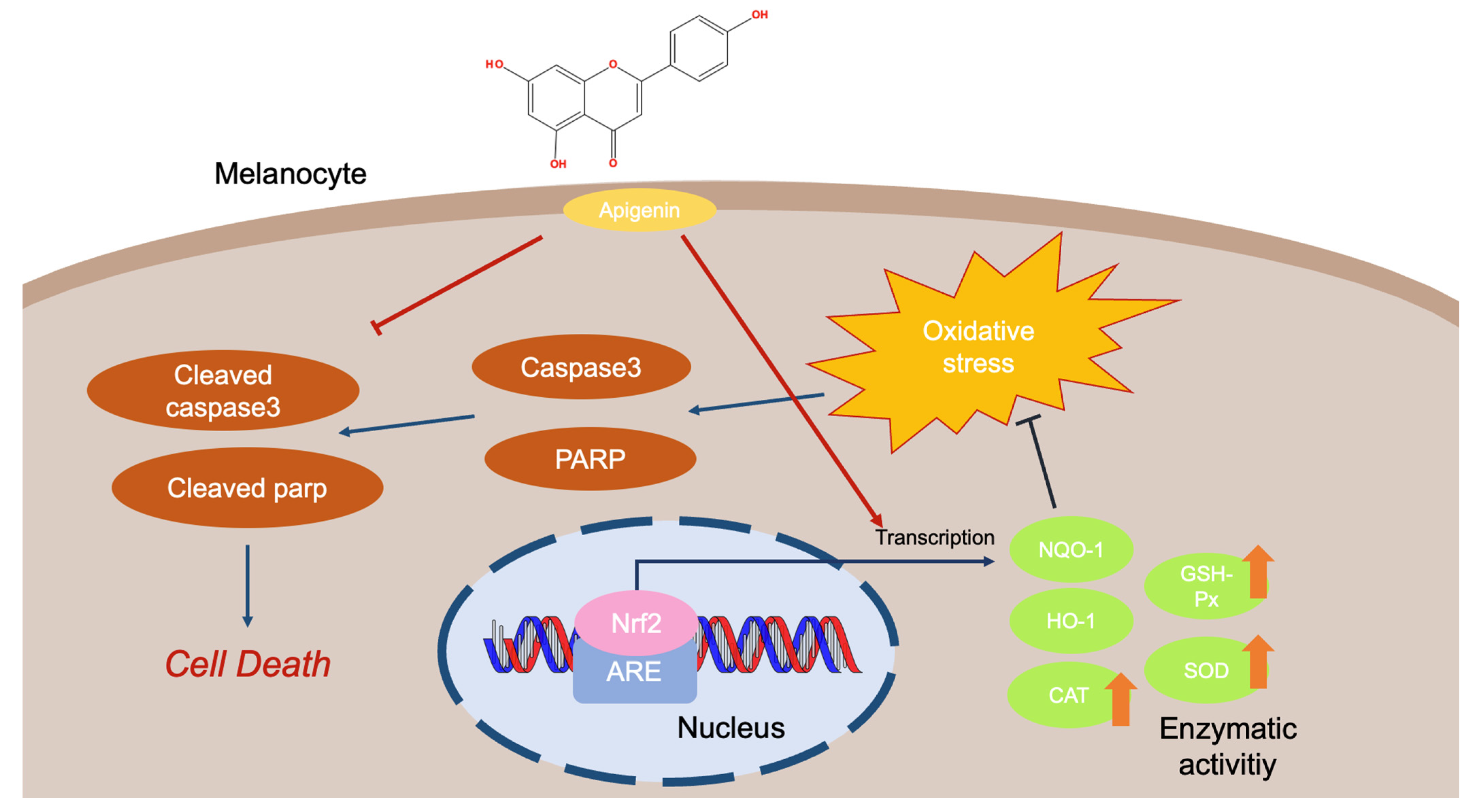 Ijms 24 01498 g009 Ijms 24 01498 g009