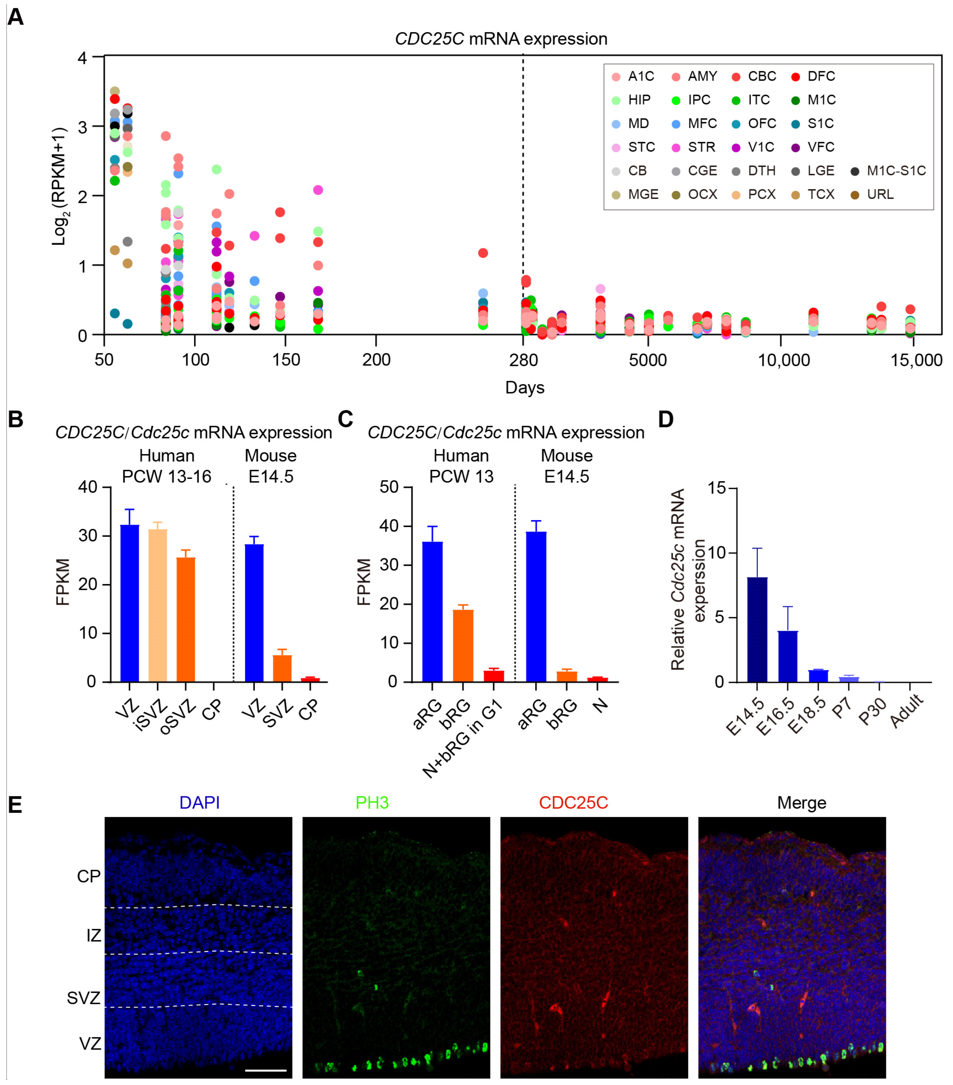 Ijms 24 01505 g001 Ijms 24 01505 g001