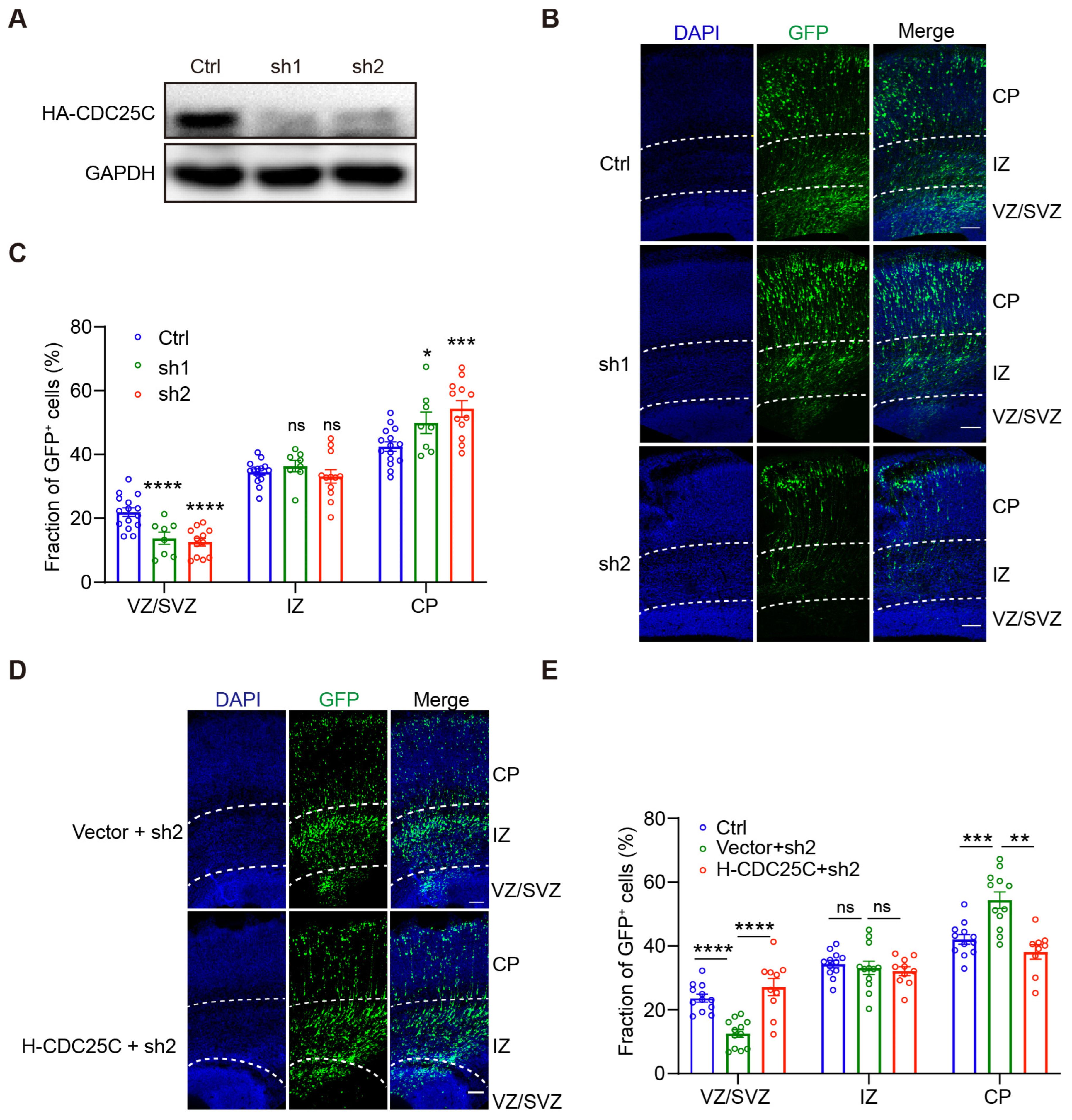 Ijms 24 01505 g002 Ijms 24 01505 g002