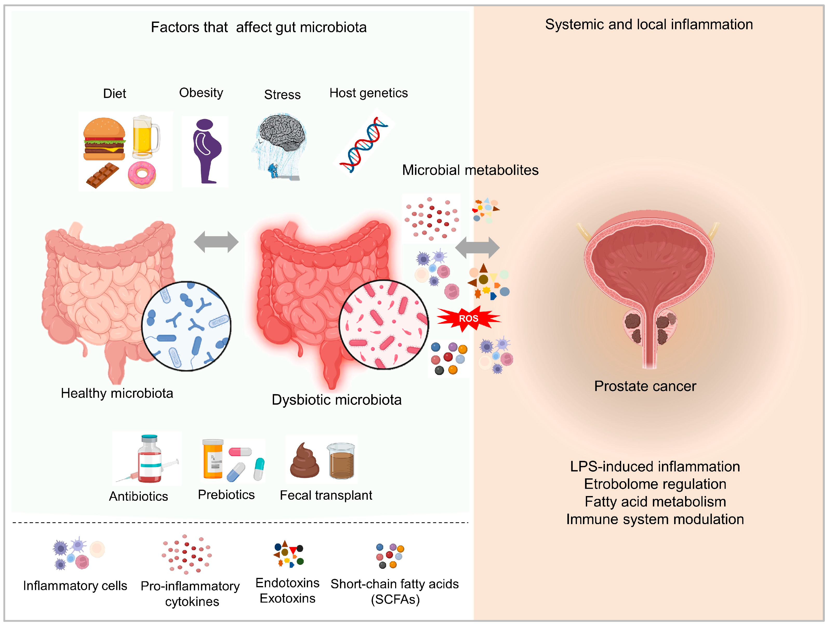 Ijms 24 01511 g002 Ijms 24 01511 g002