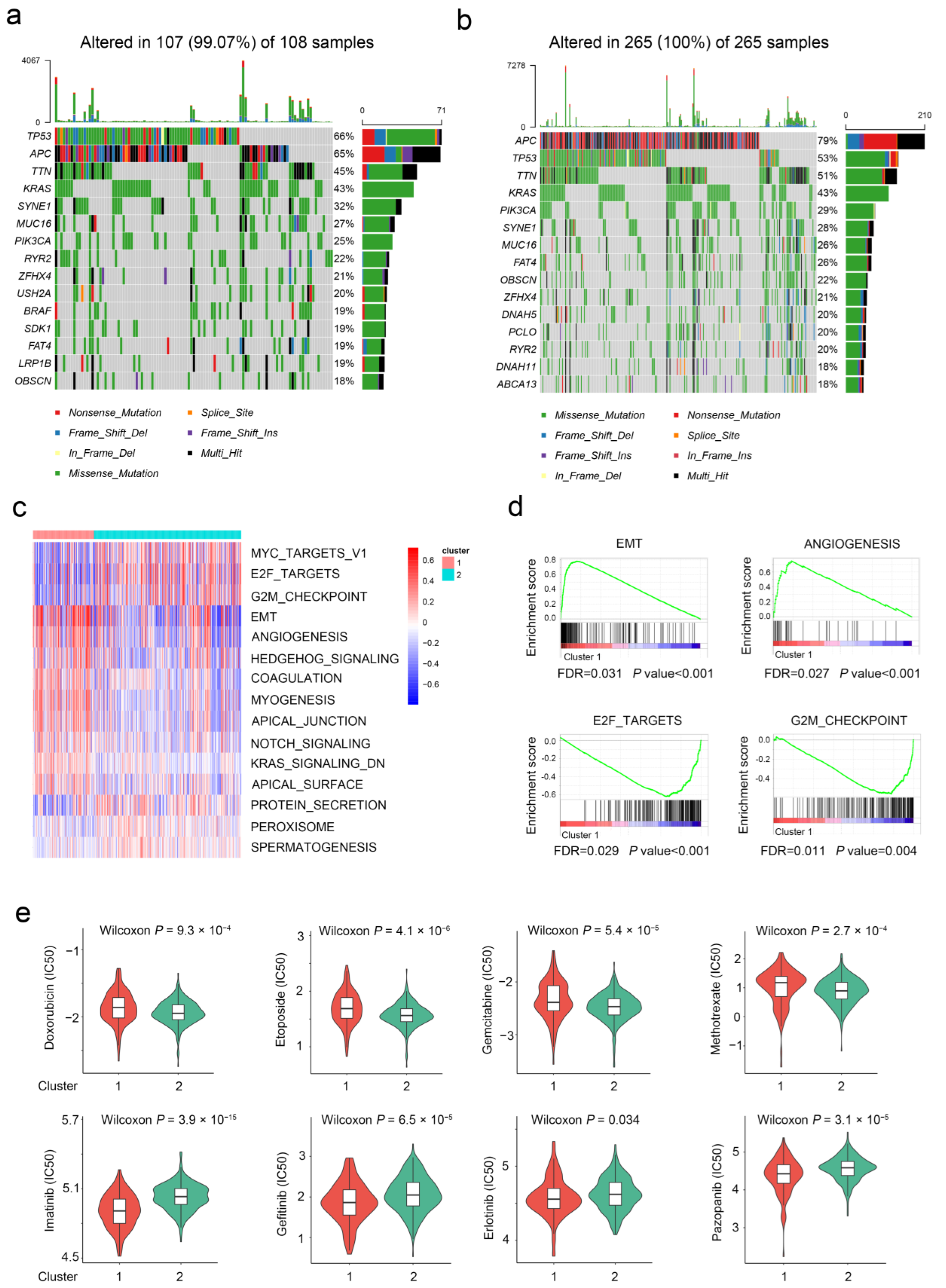 Ijms 24 01516 g003 Ijms 24 01516 g003