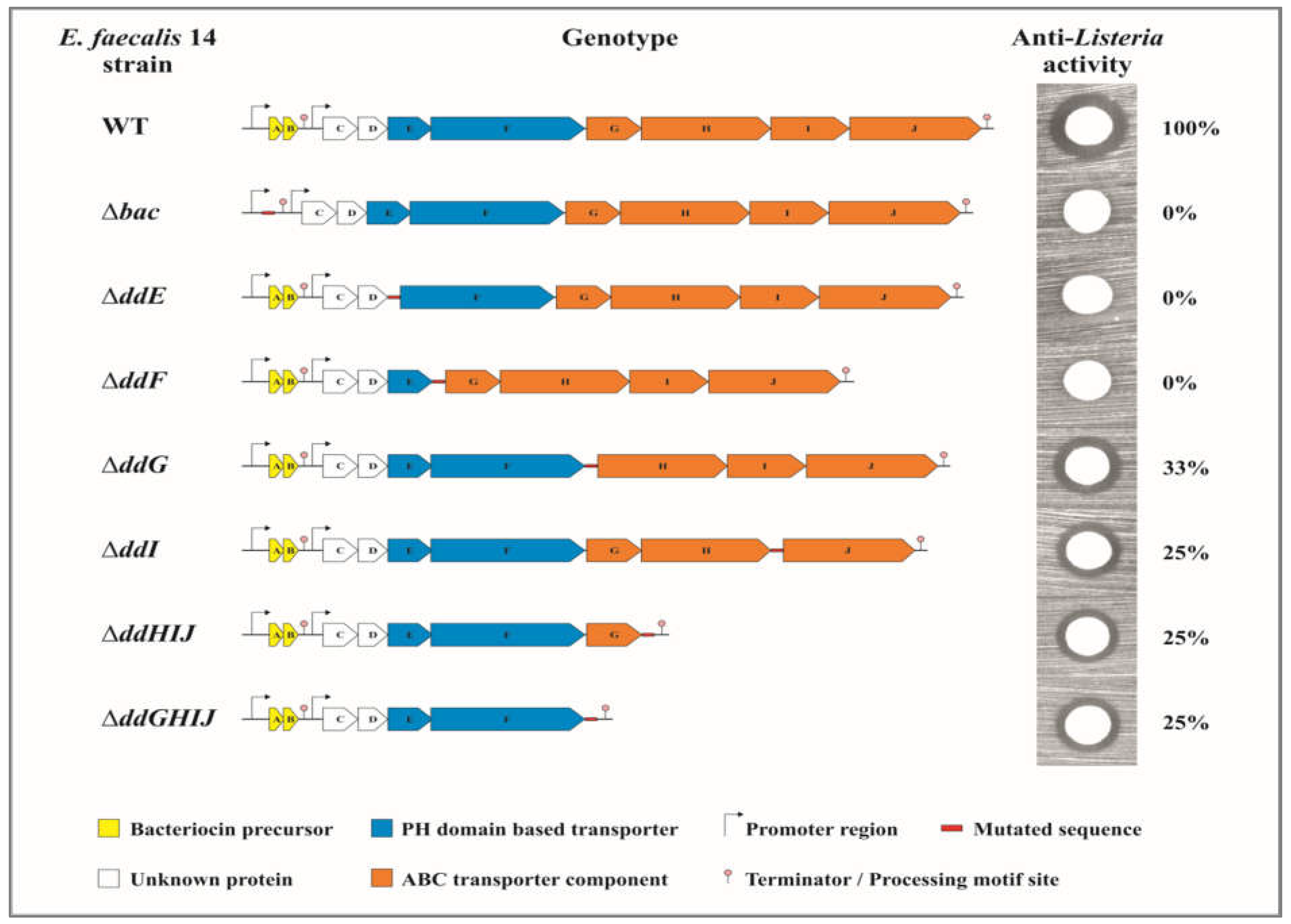 Ijms 24 01517 g001 Ijms 24 01517 g001