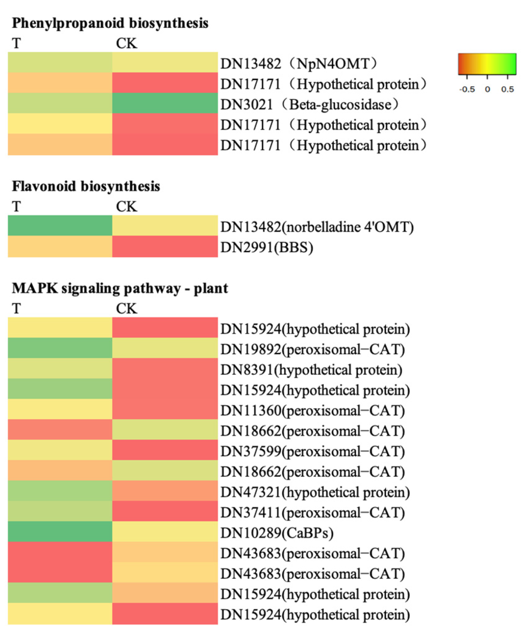 Ijms 24 01522 g009 Ijms 24 01522 g009