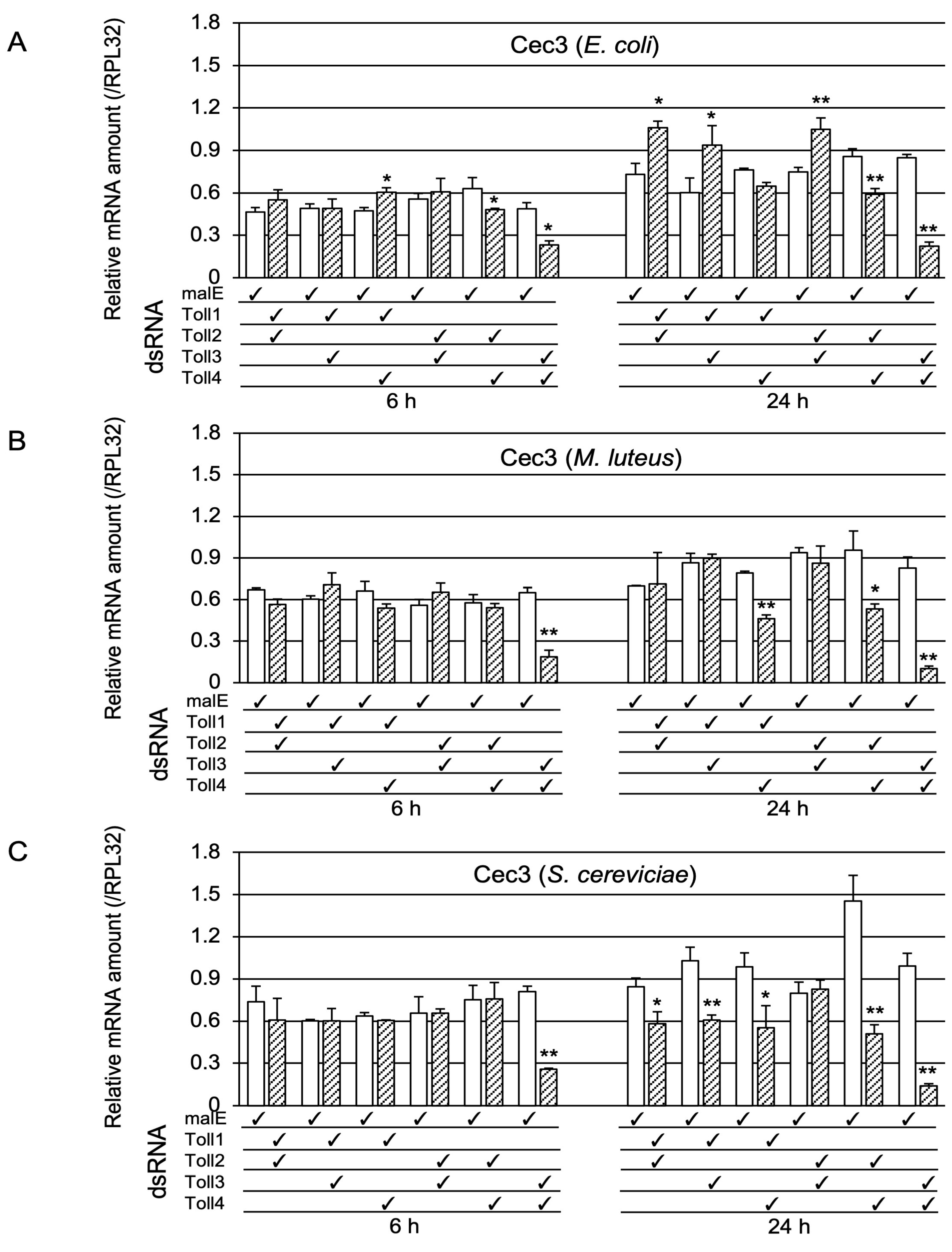 Ijms 24 01523 g006 Ijms 24 01523 g006