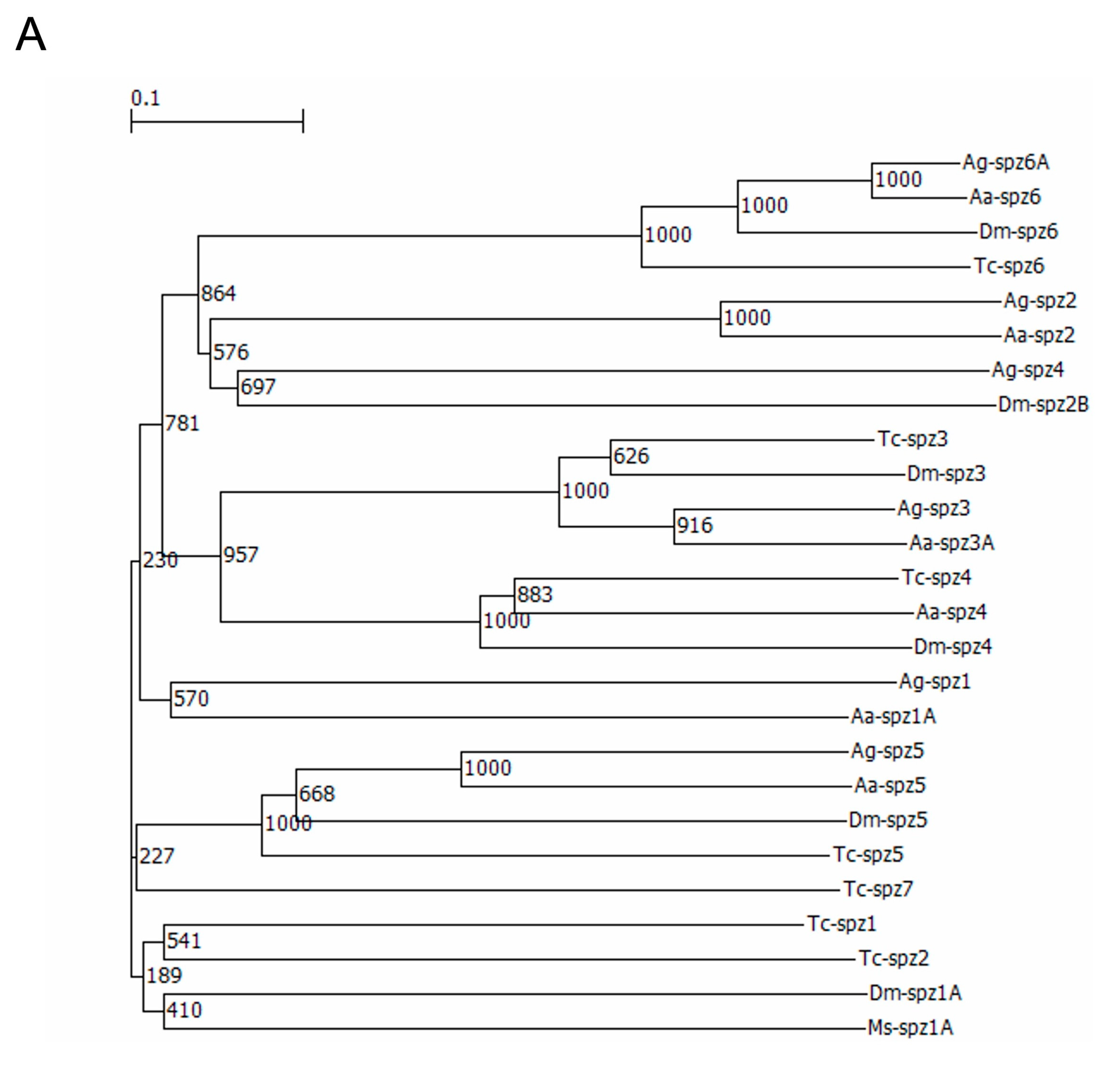 Ijms 24 01523 g008a Ijms 24 01523 g008a