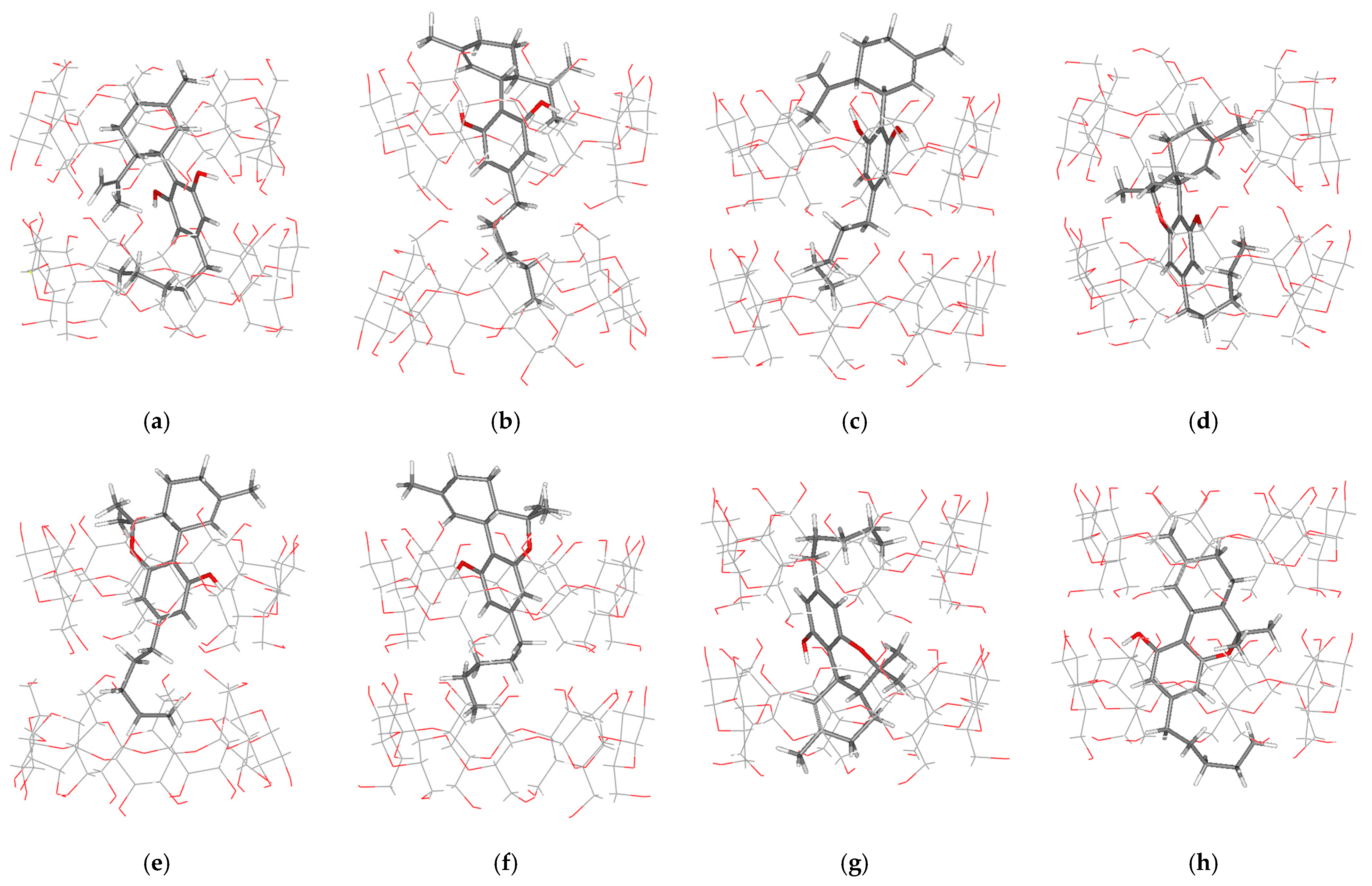 Ijms 24 01525 g006 Ijms 24 01525 g006