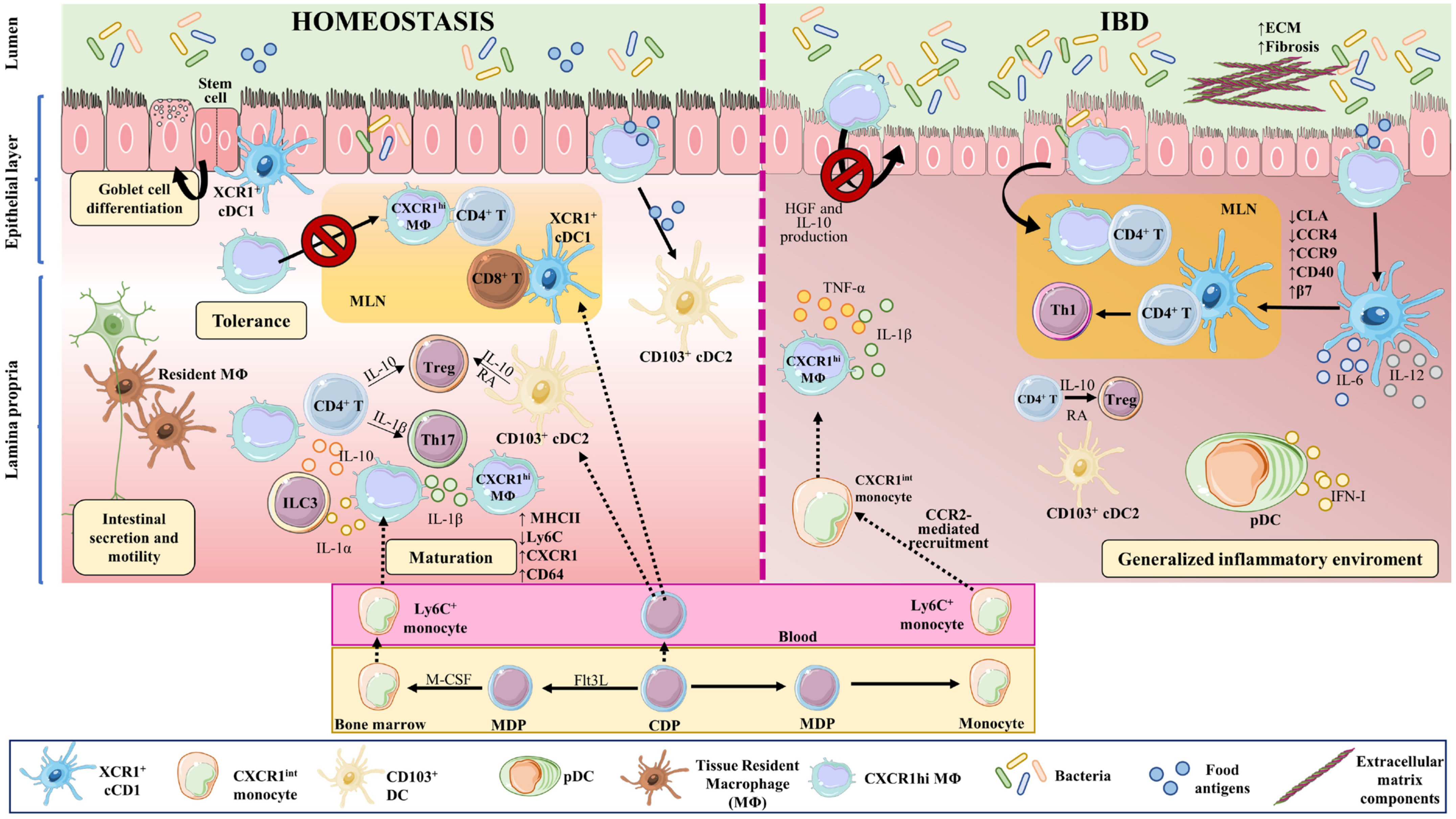 Ijms 24 01526 g002 Ijms 24 01526 g002