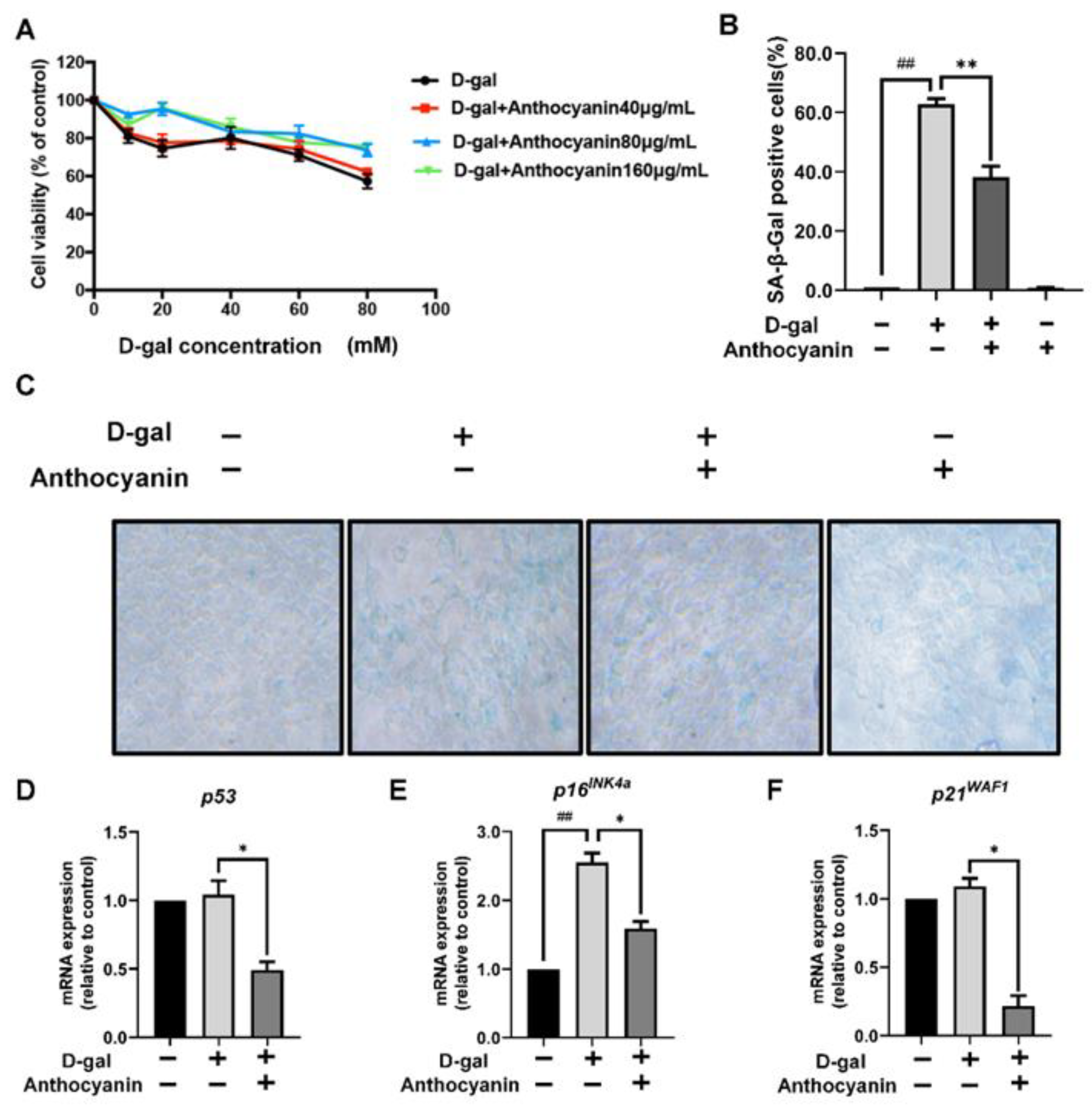 Ijms 24 01528 g003 Ijms 24 01528 g003