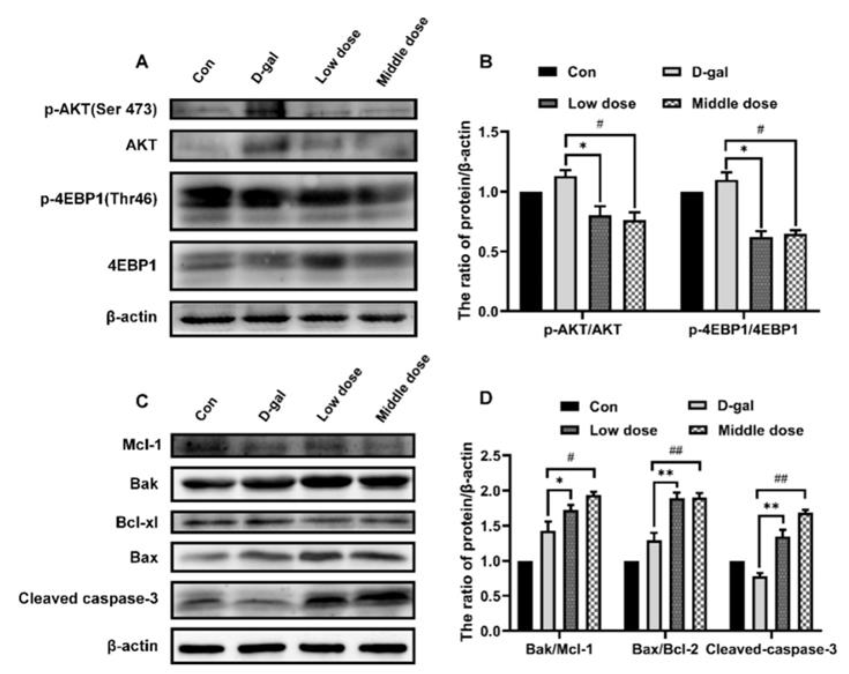 Ijms 24 01528 g008 Ijms 24 01528 g008