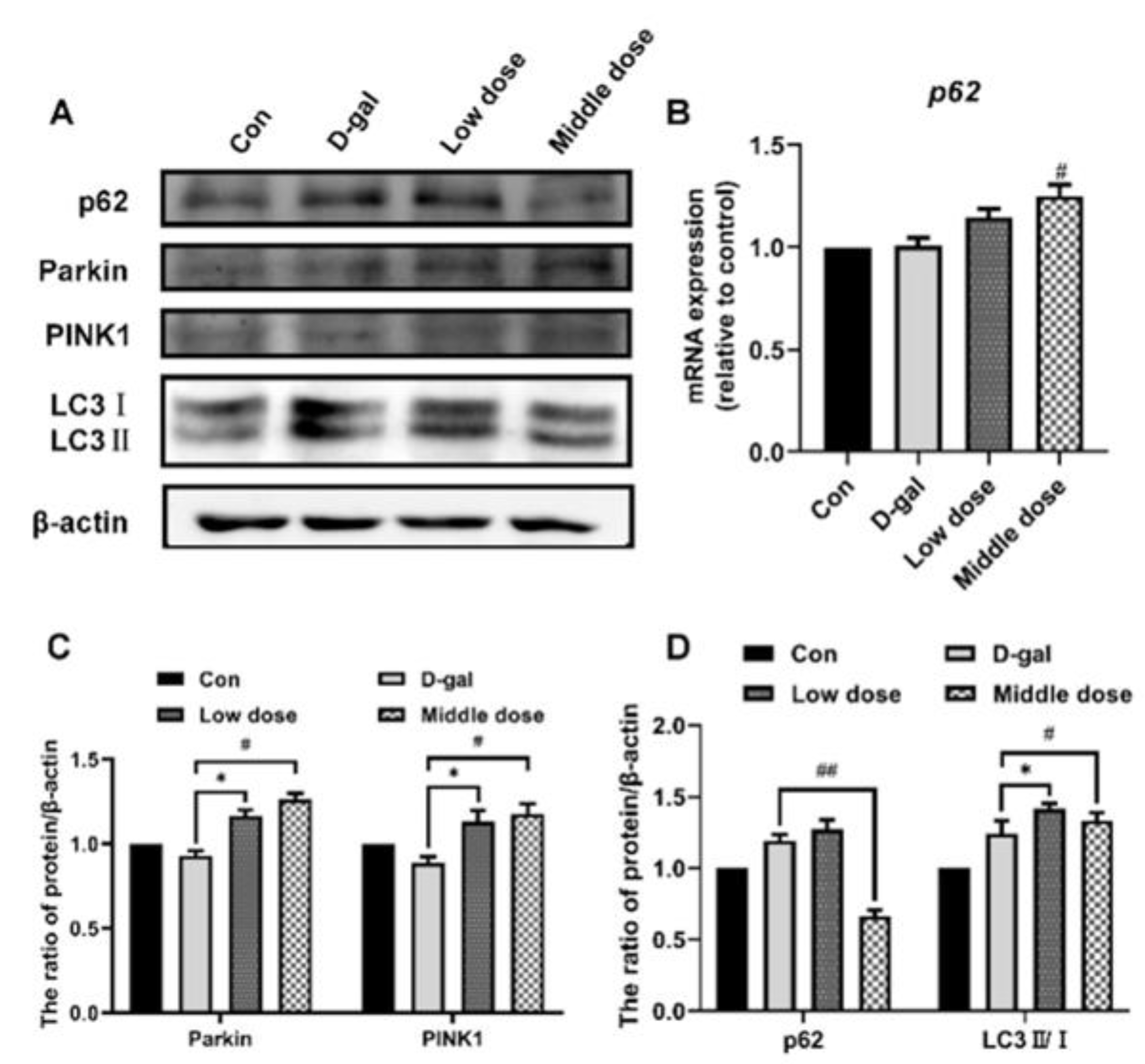 Ijms 24 01528 g009 Ijms 24 01528 g009