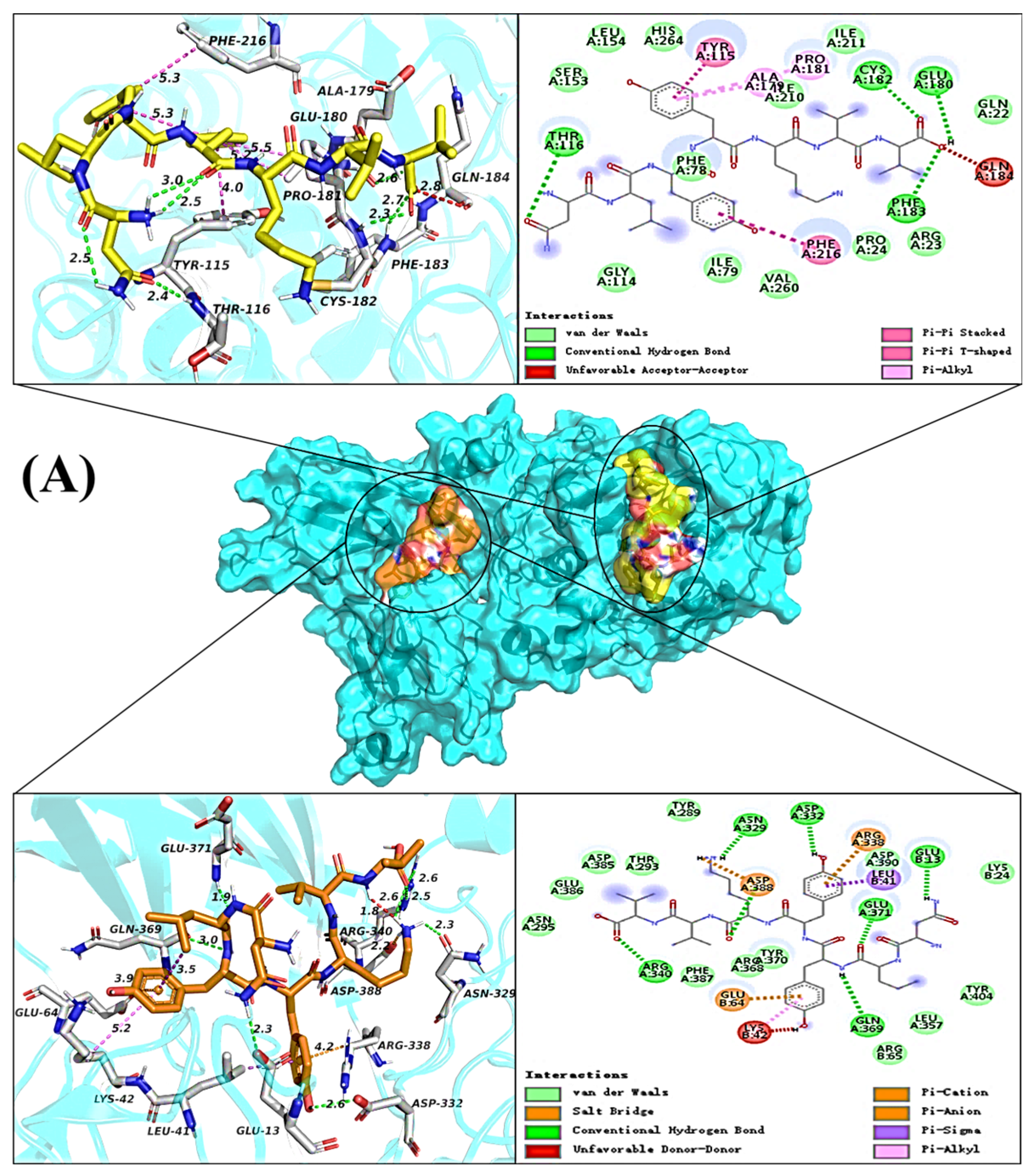 Ijms 24 01529 g003a Ijms 24 01529 g003a