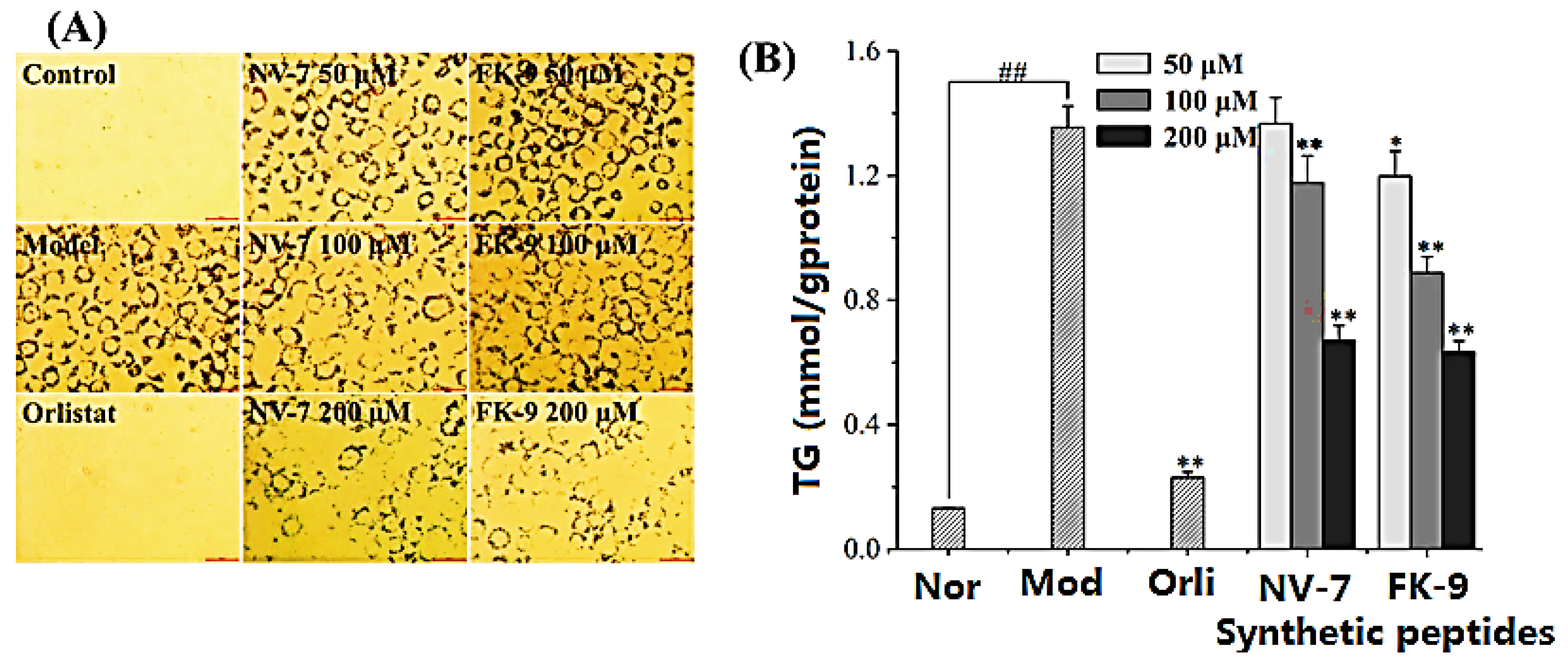 Ijms 24 01529 g005 Ijms 24 01529 g005
