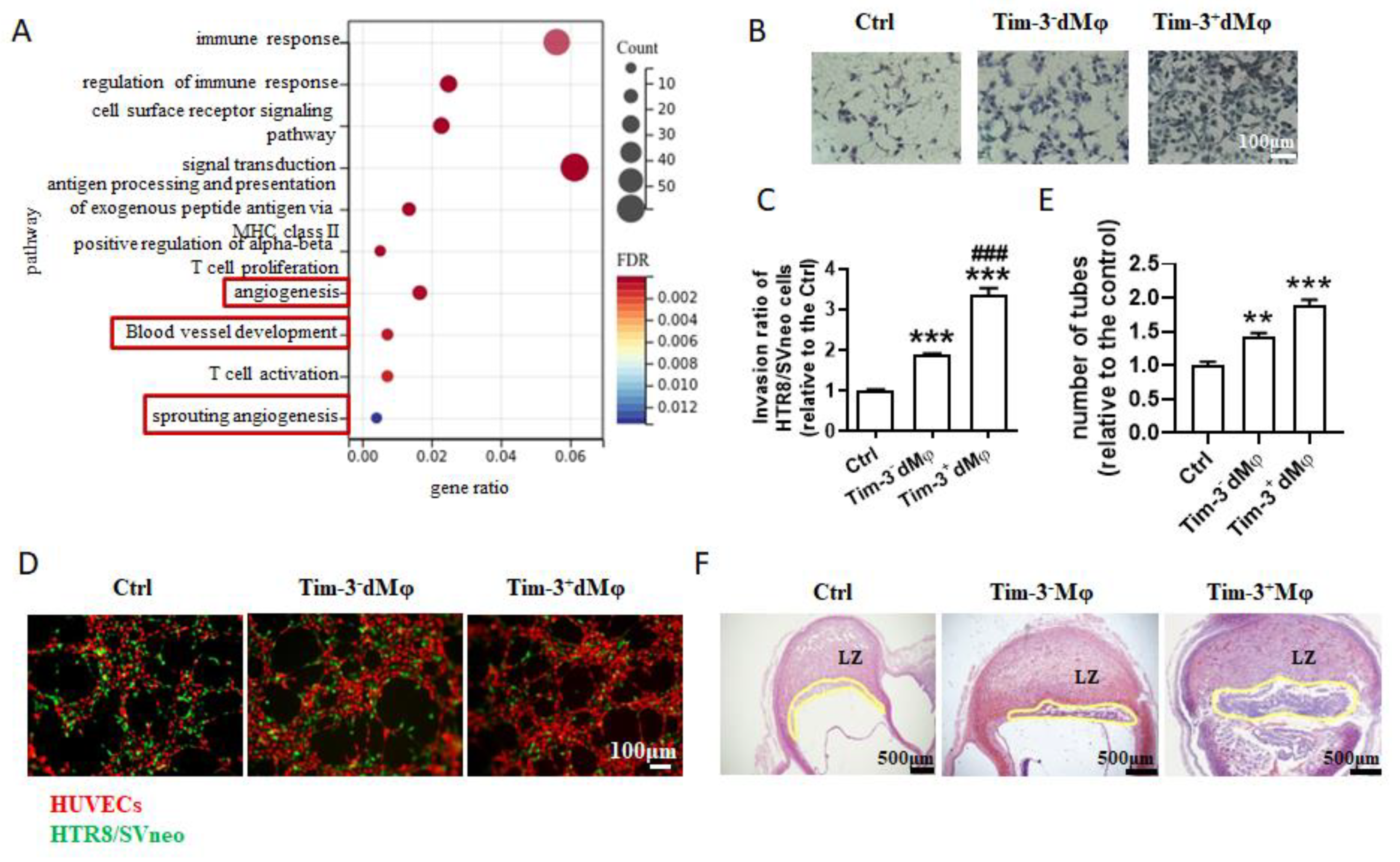 Ijms 24 01538 g002 Ijms 24 01538 g002
