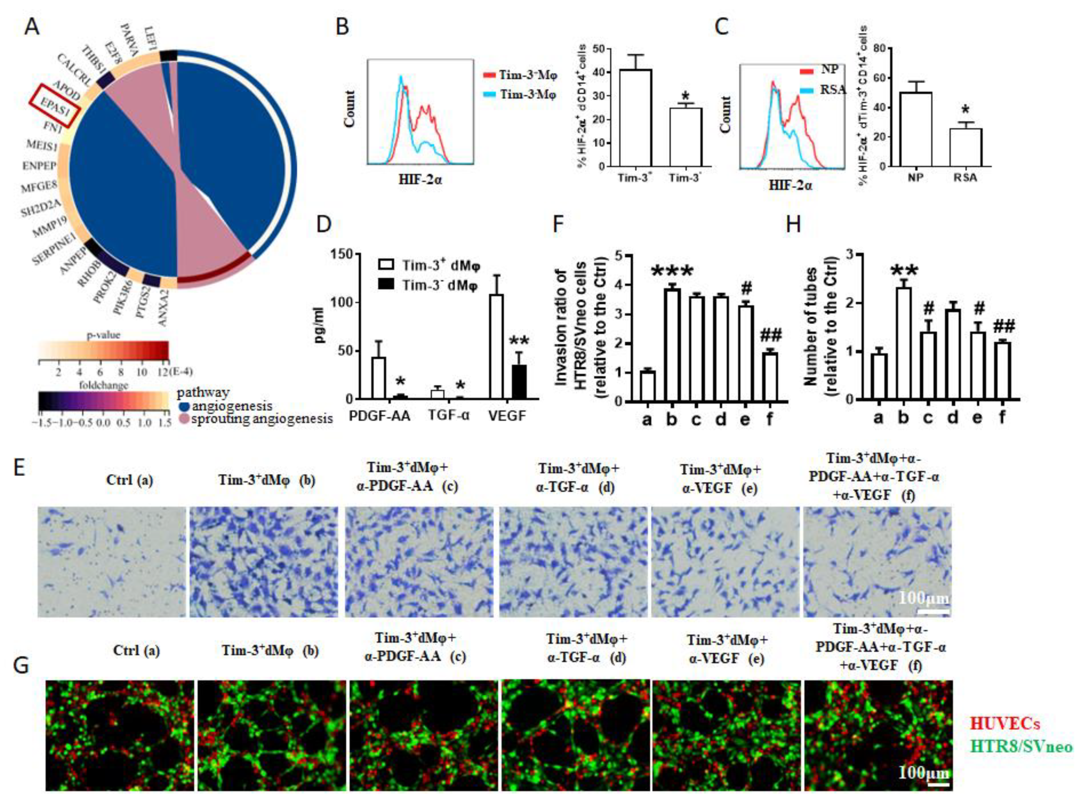 Ijms 24 01538 g003 Ijms 24 01538 g003