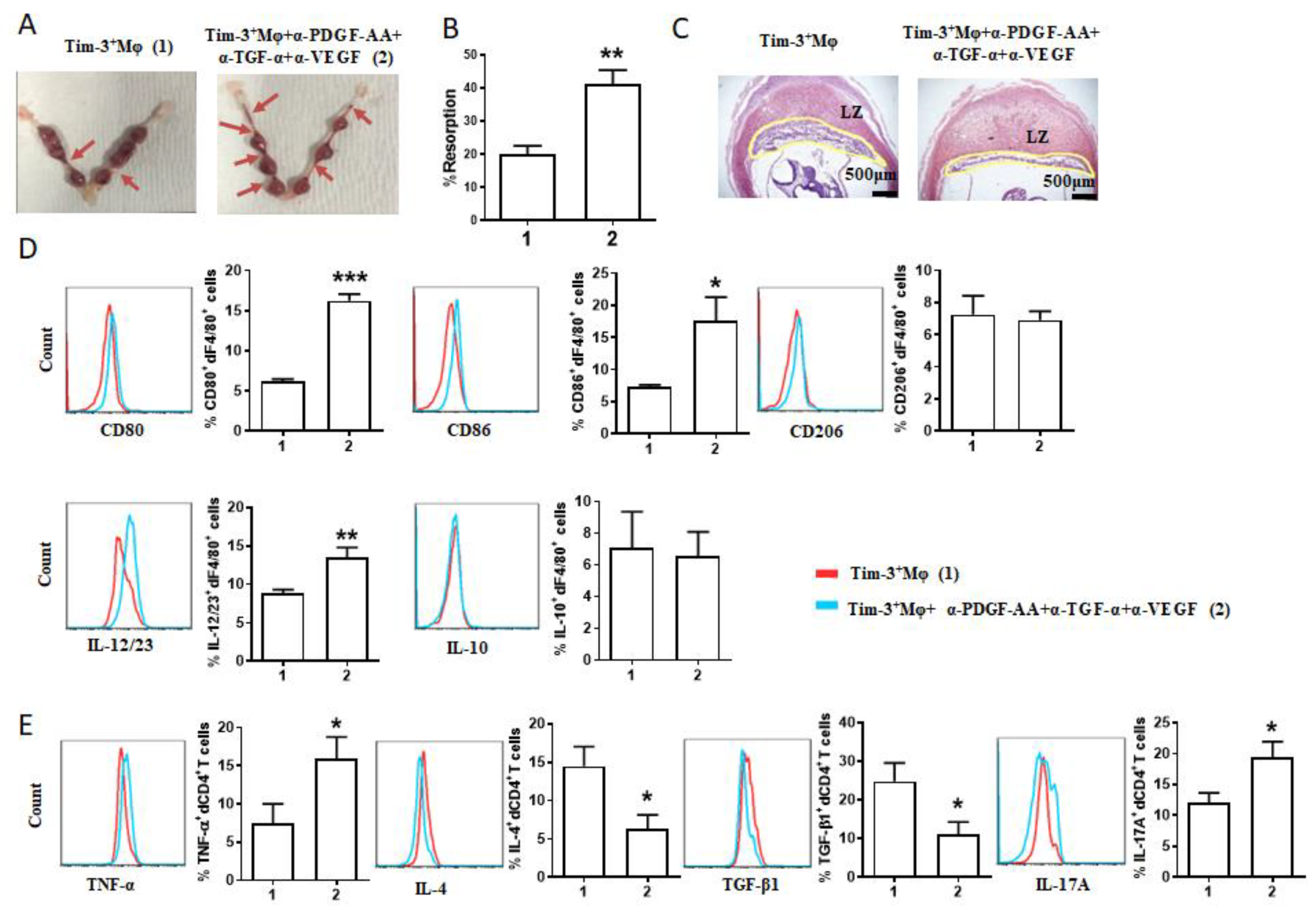 Ijms 24 01538 g004 Ijms 24 01538 g004