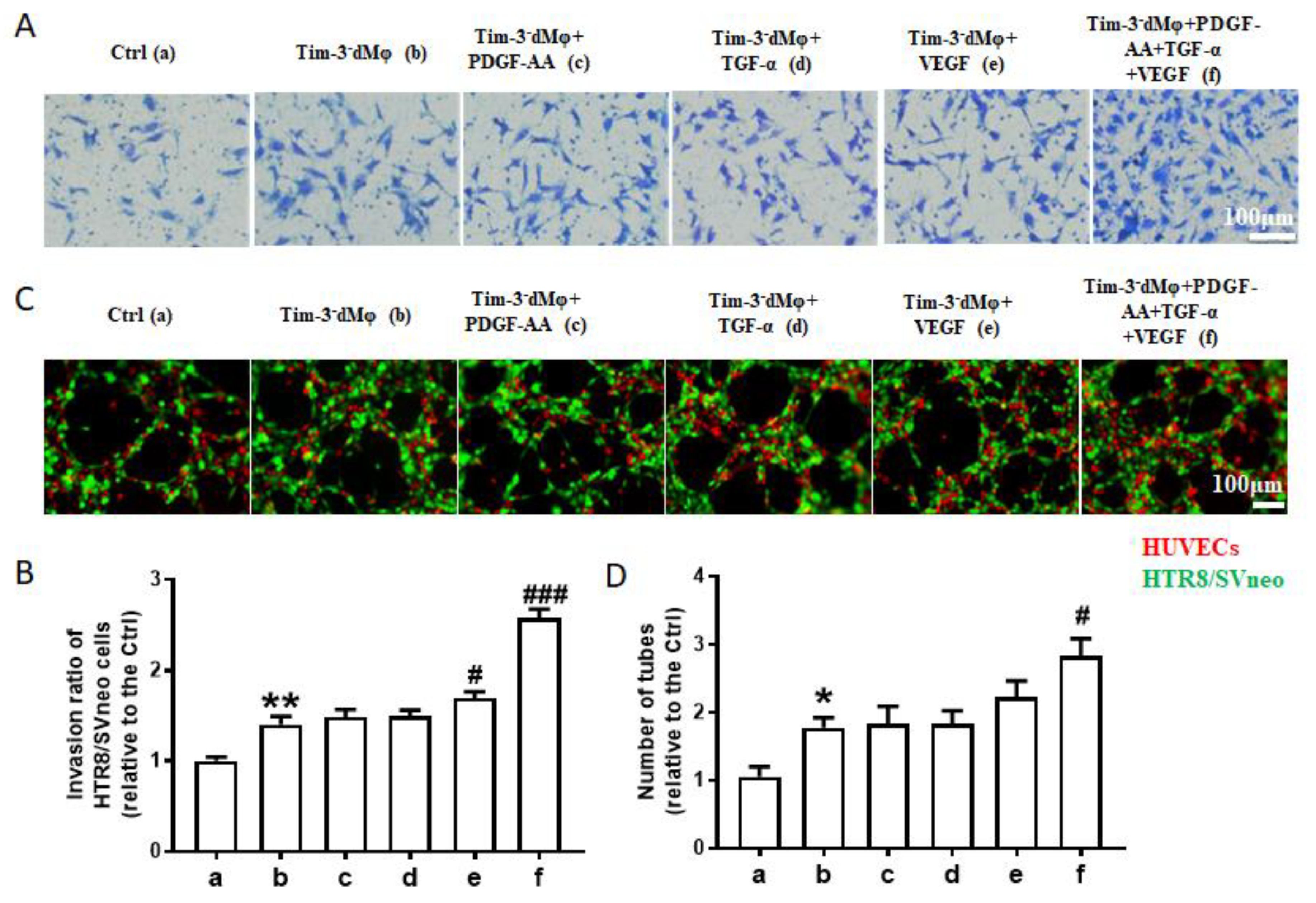 Ijms 24 01538 g005 Ijms 24 01538 g005