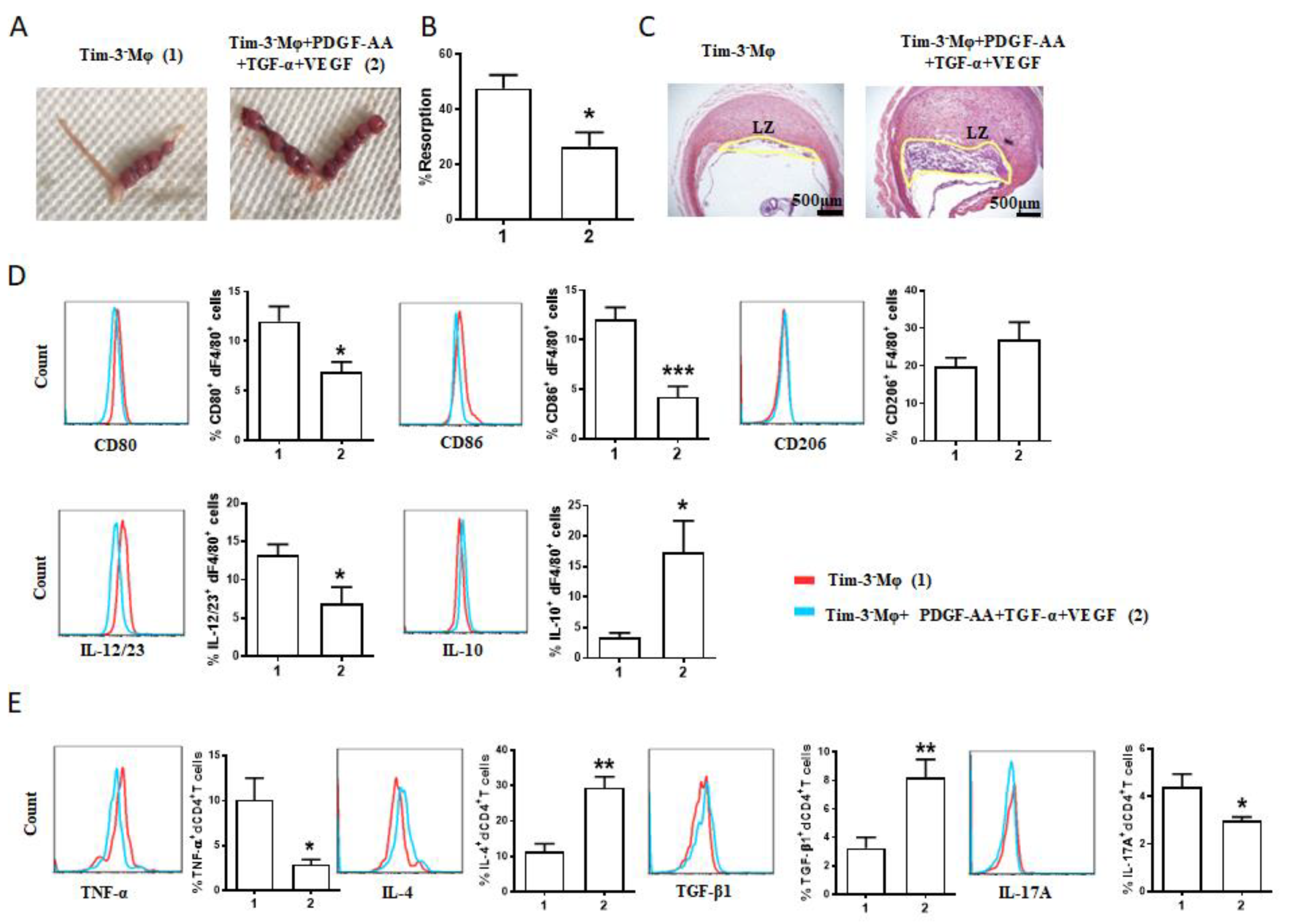 Ijms 24 01538 g006 Ijms 24 01538 g006