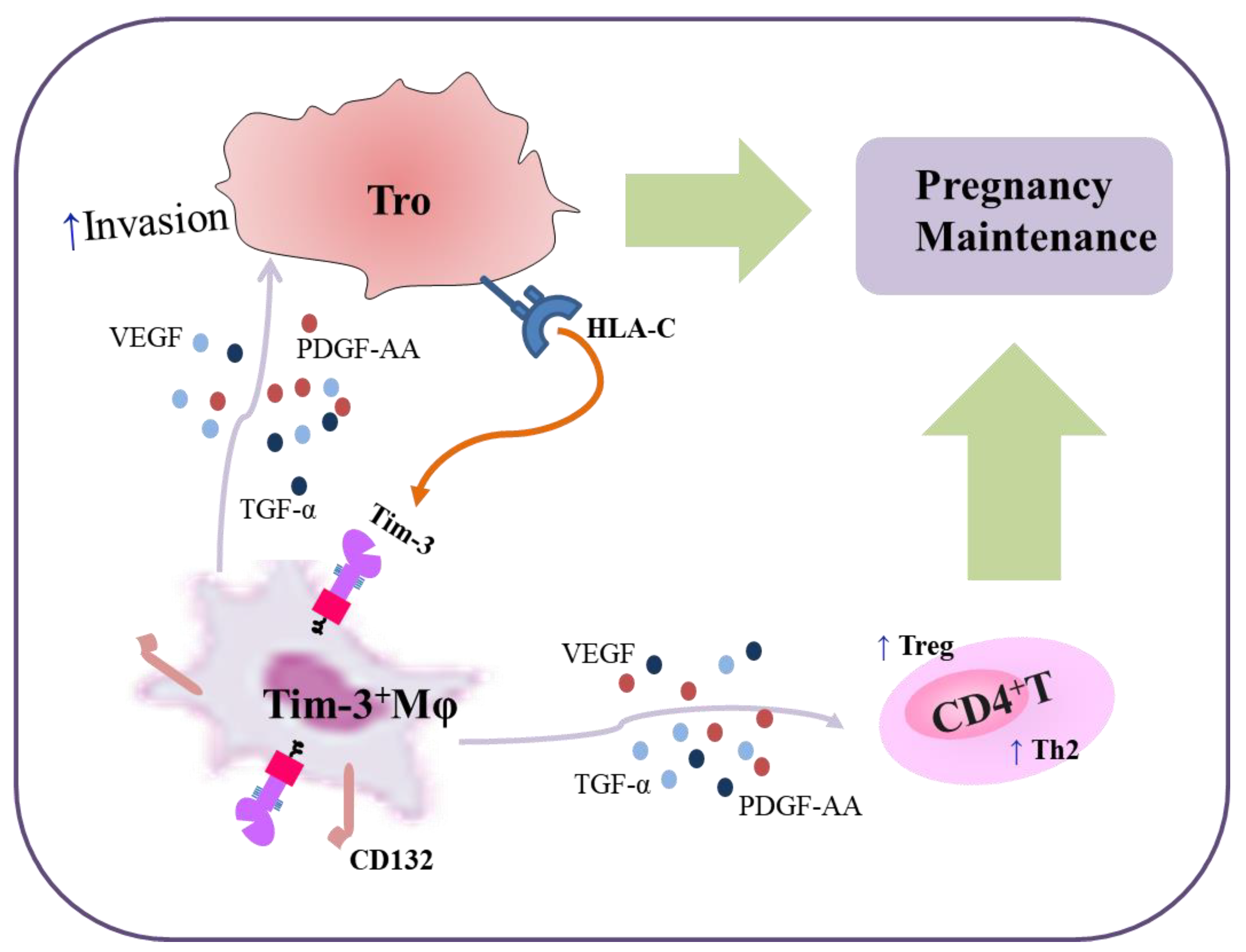 Ijms 24 01538 g007 Ijms 24 01538 g007