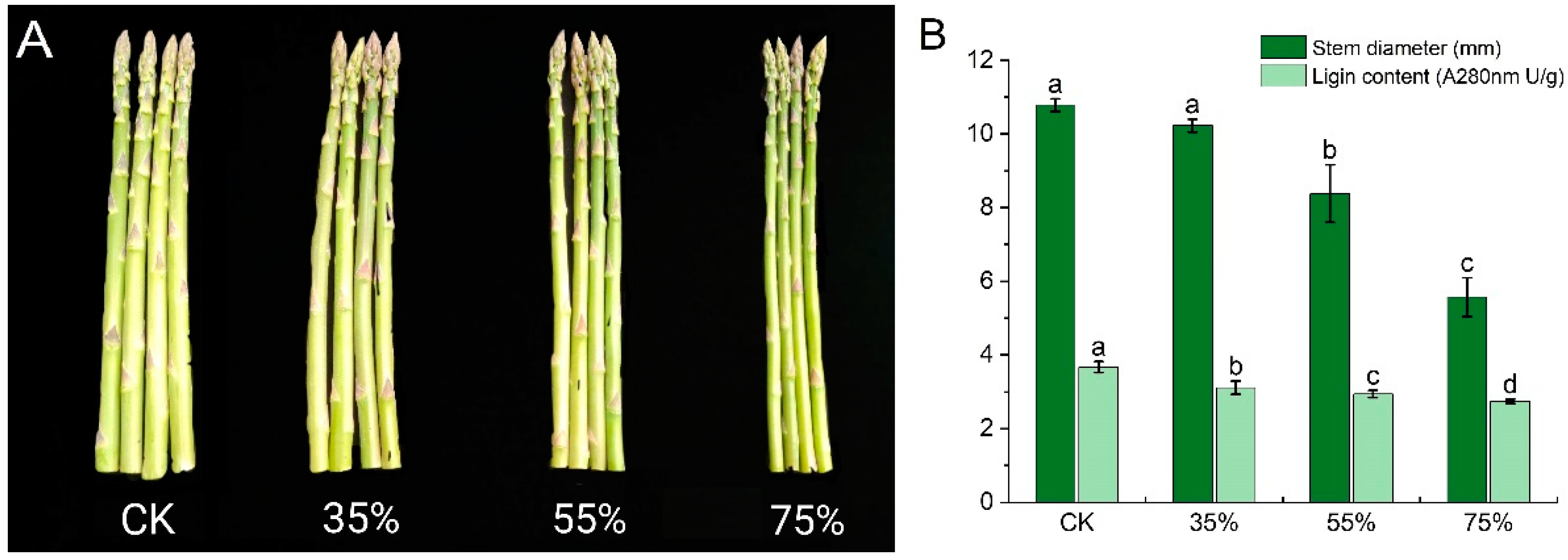 Ijms 24 01539 g001 Ijms 24 01539 g001