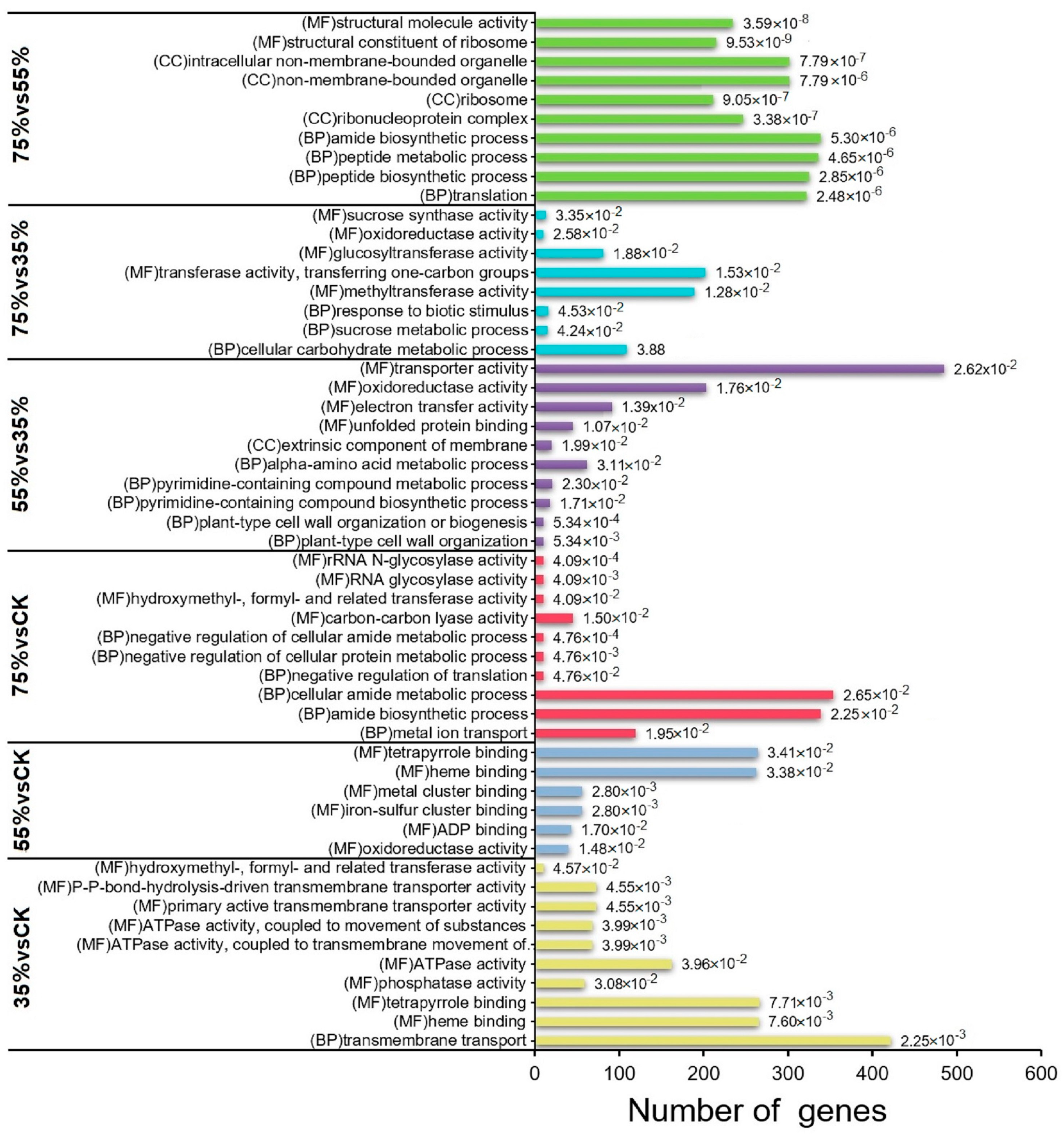Ijms 24 01539 g004 Ijms 24 01539 g004