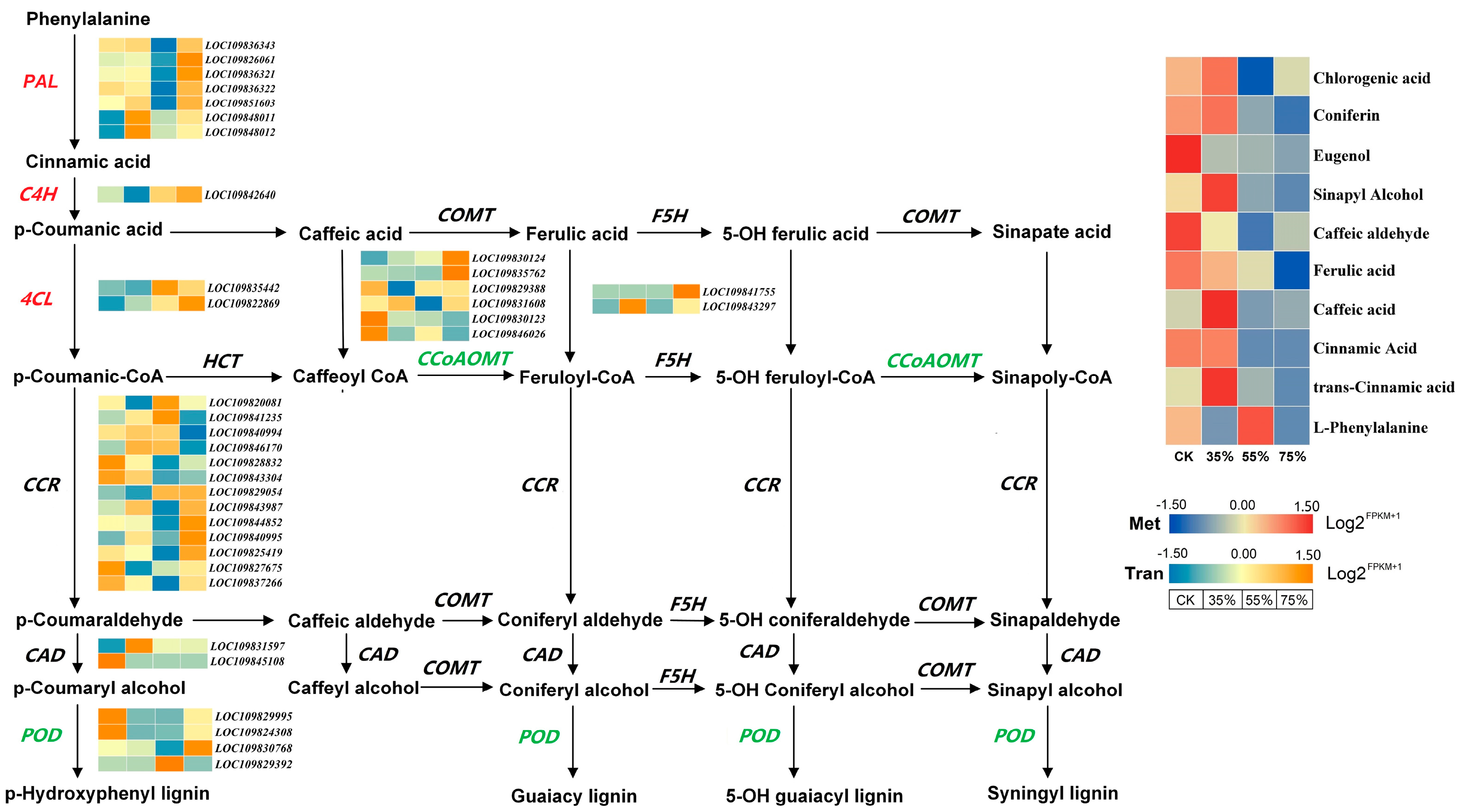 Ijms 24 01539 g007 Ijms 24 01539 g007