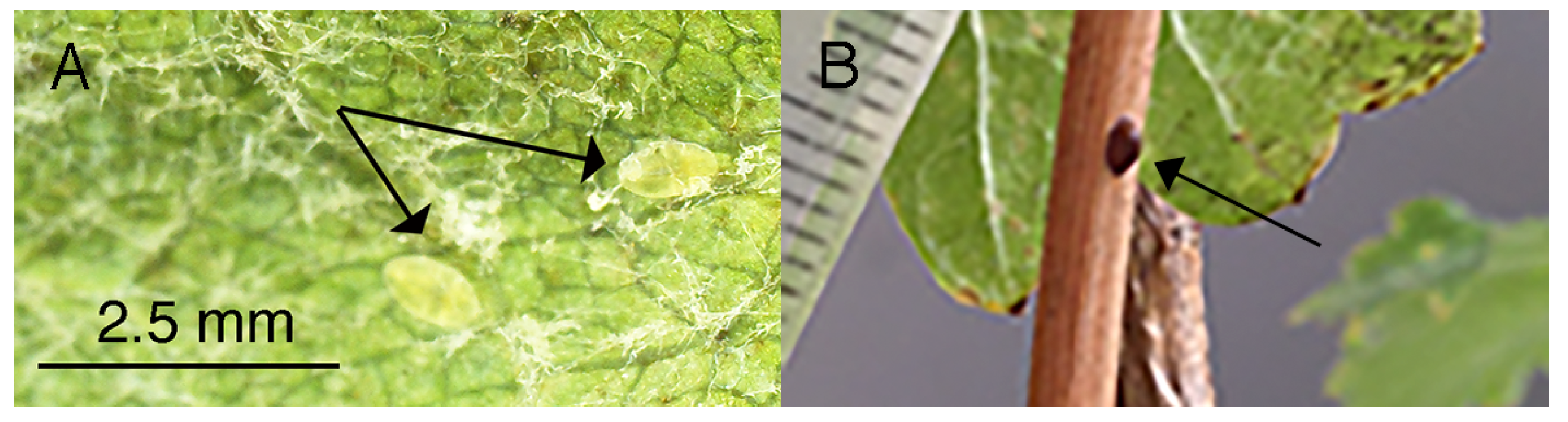 Ijms 24 01544 g001 Ijms 24 01544 g001