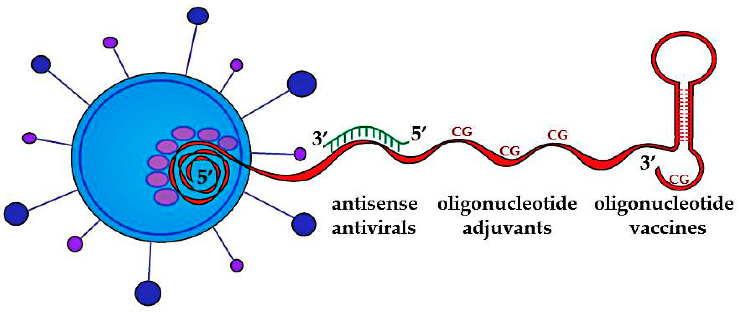 Ijms 24 01553 g001 Ijms 24 01553 g001
