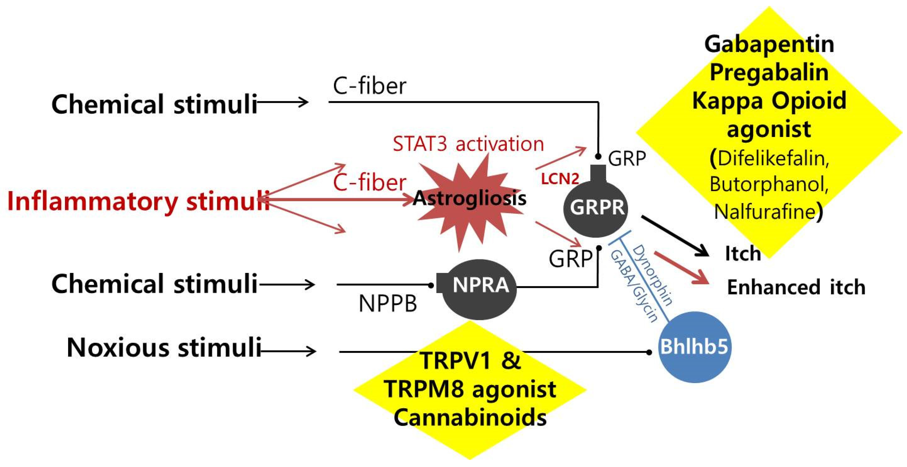 Ijms 24 01559 g002 Ijms 24 01559 g002