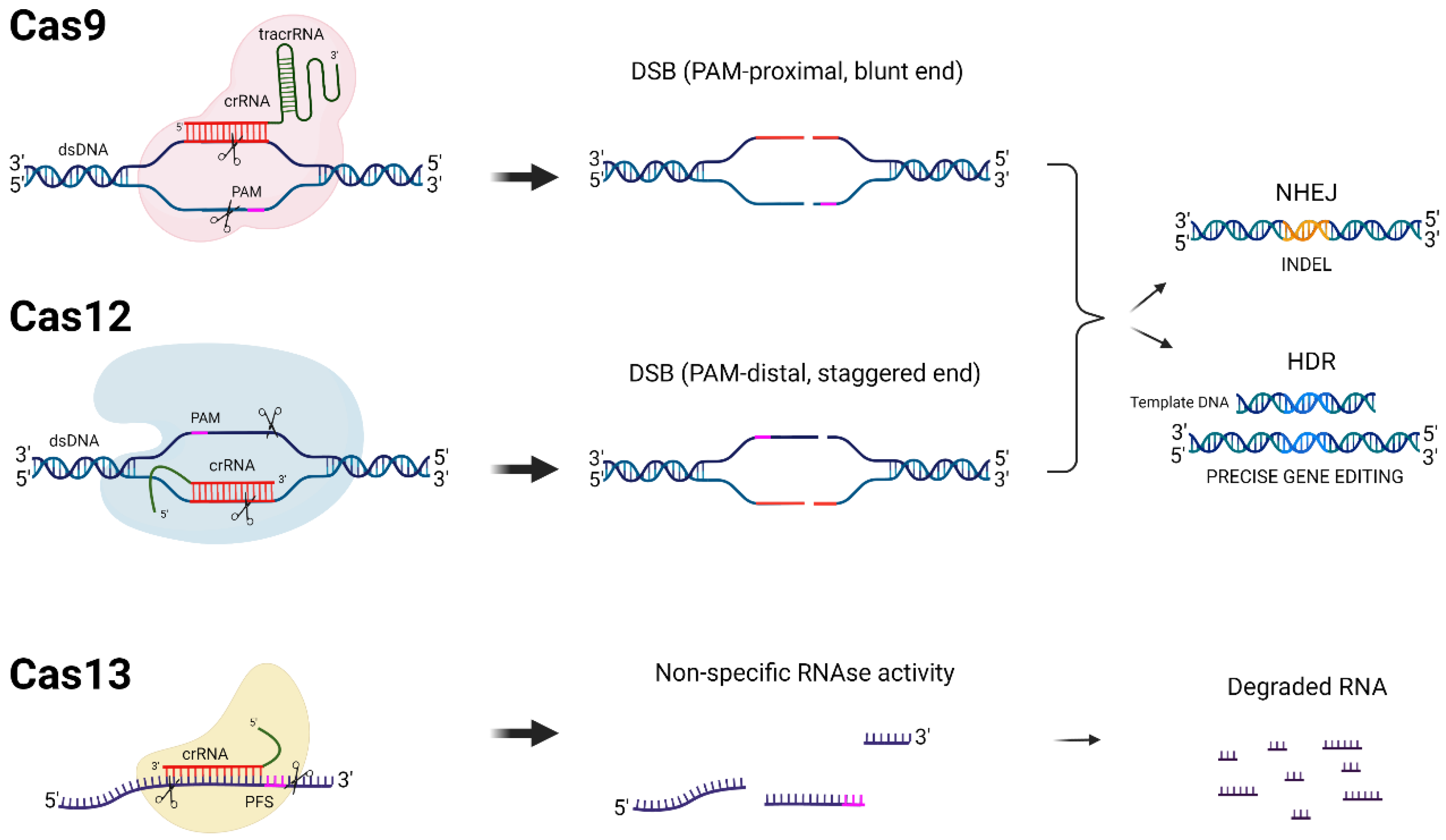 Ijms 24 01563 g001 Ijms 24 01563 g001