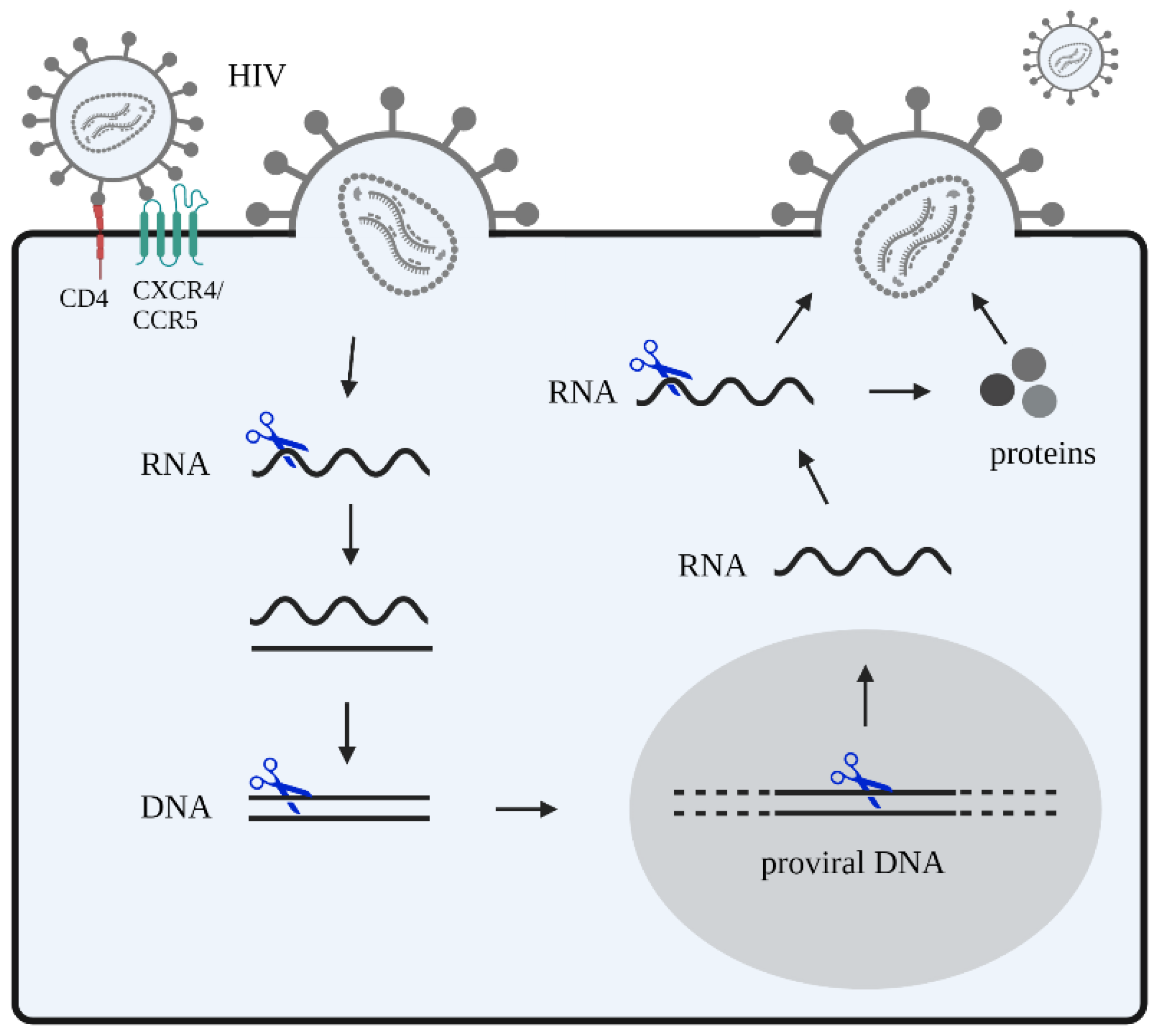 Ijms 24 01563 g002 Ijms 24 01563 g002