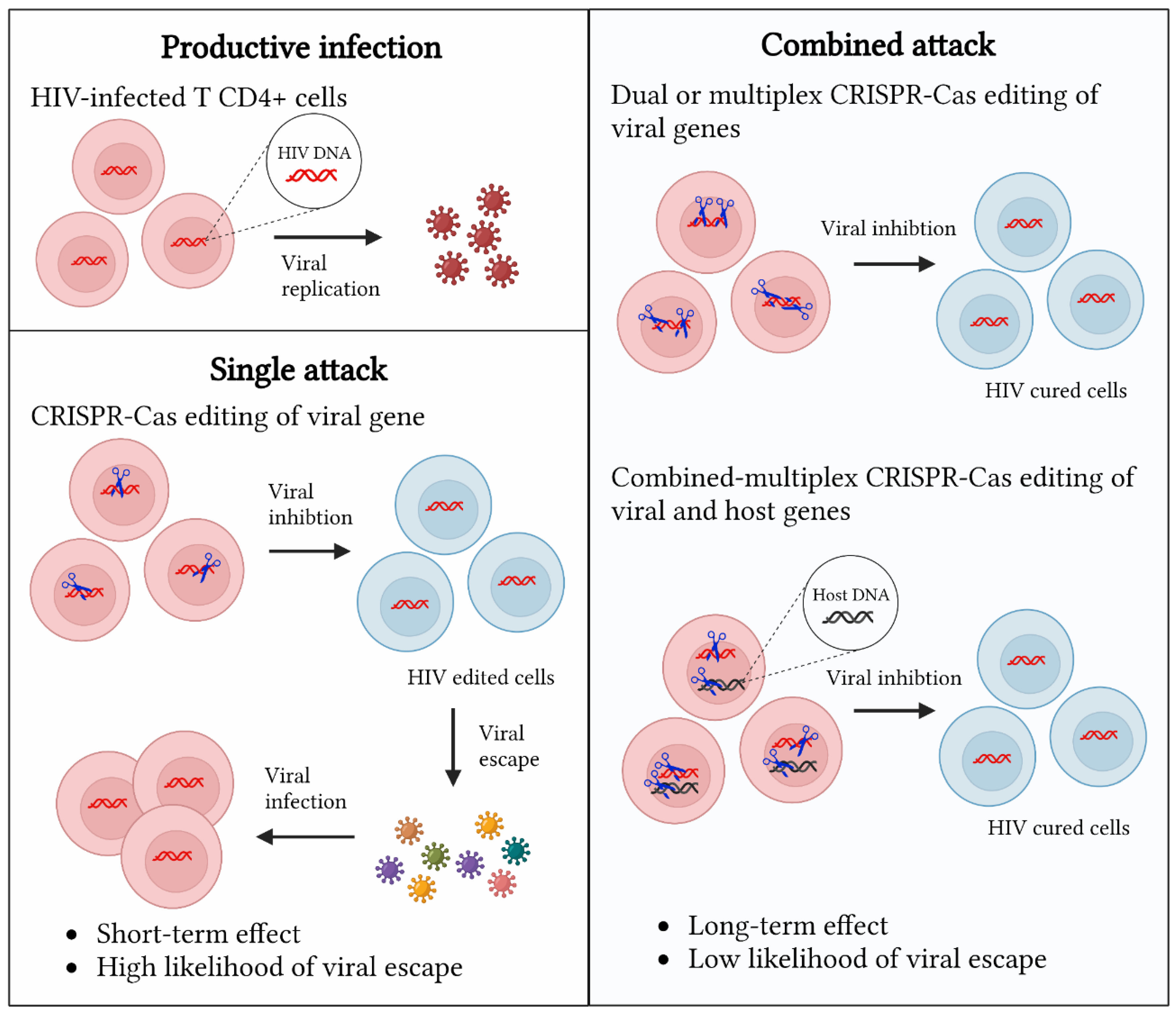 Ijms 24 01563 g004 Ijms 24 01563 g004